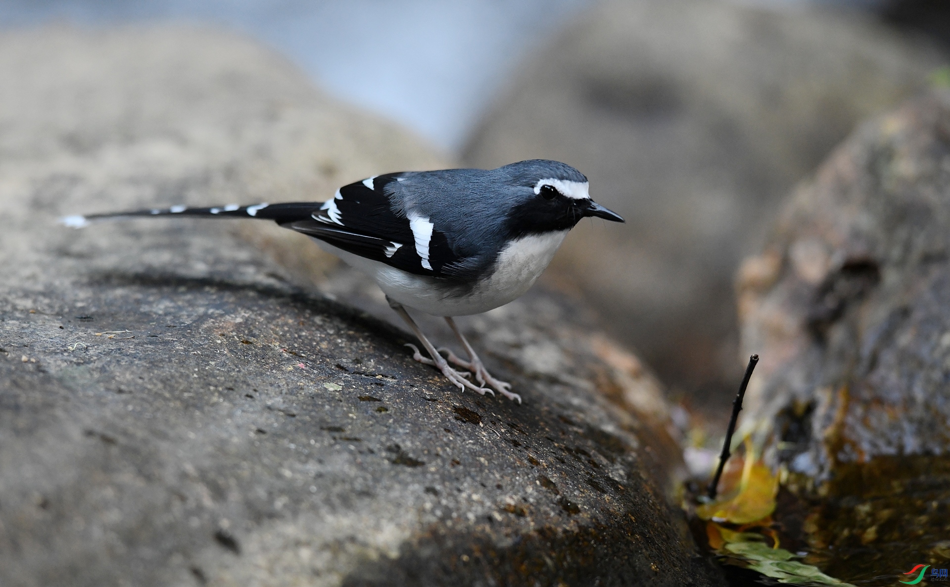 DSC_6039.jpg