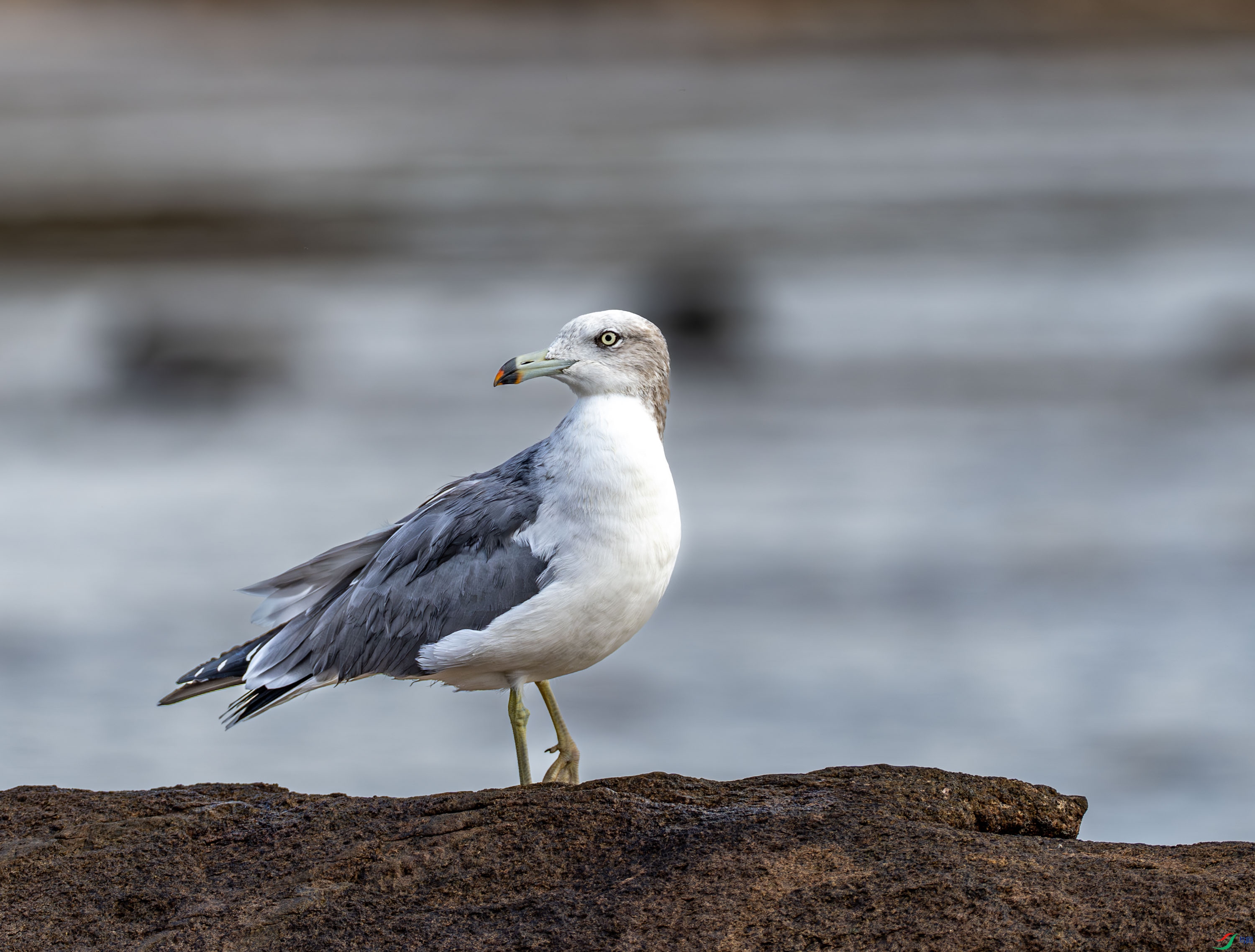 ��βŸ -02-3.jpg