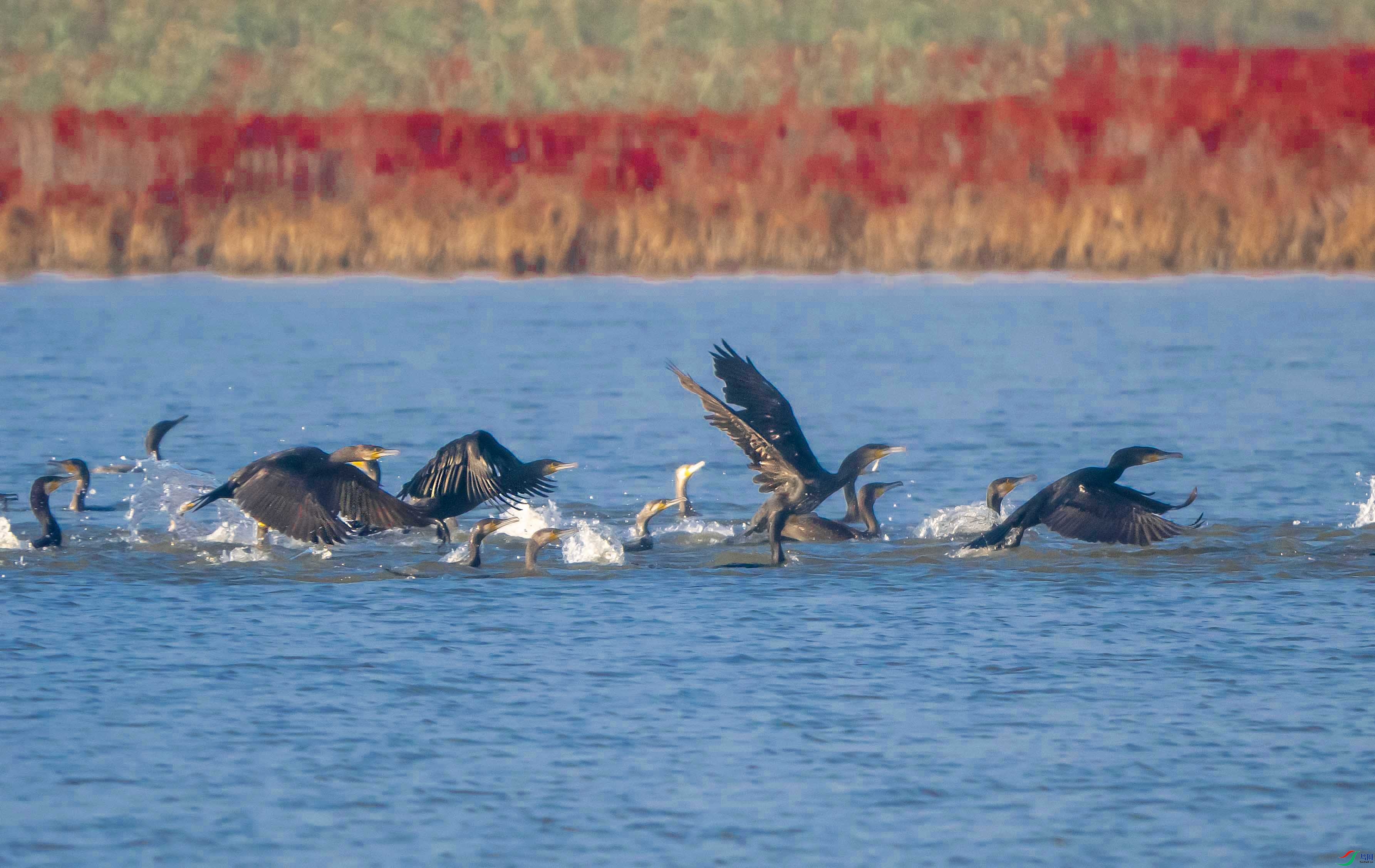 1-xtPA040374 ���� 2.jpg