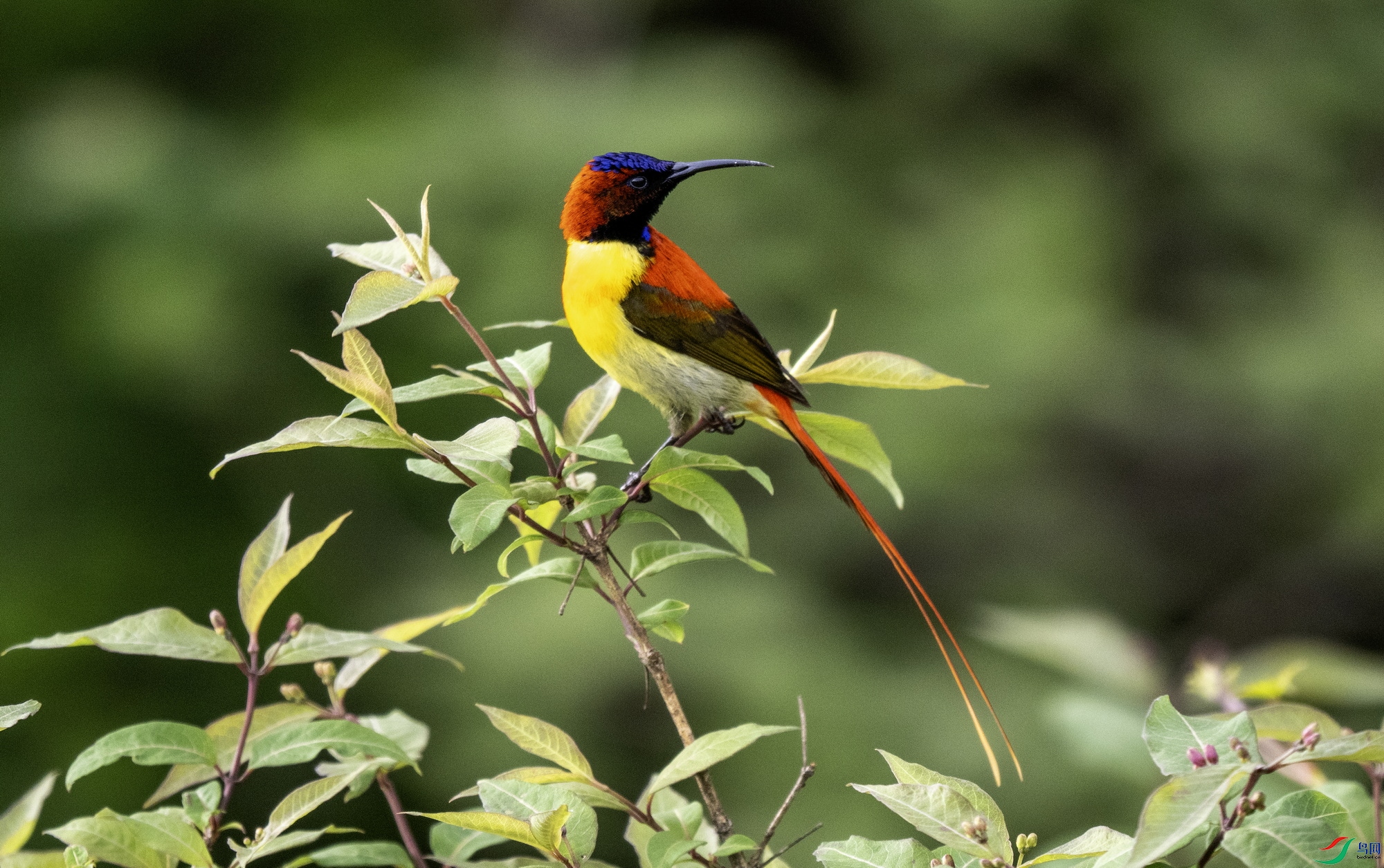 ��β̫���� (10)-01.jpg