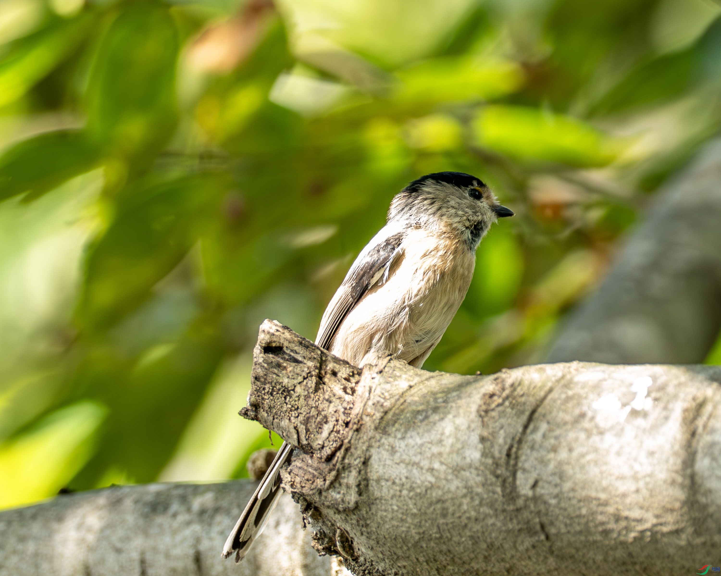 ������βɽȸ -1-11.jpg