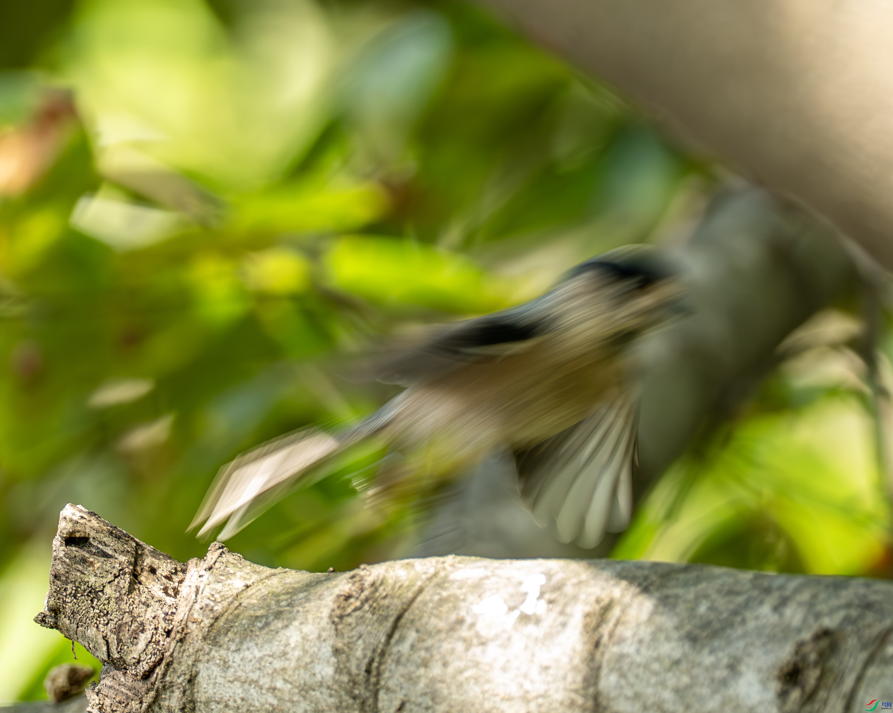 ������βɽȸ -1-17.jpg