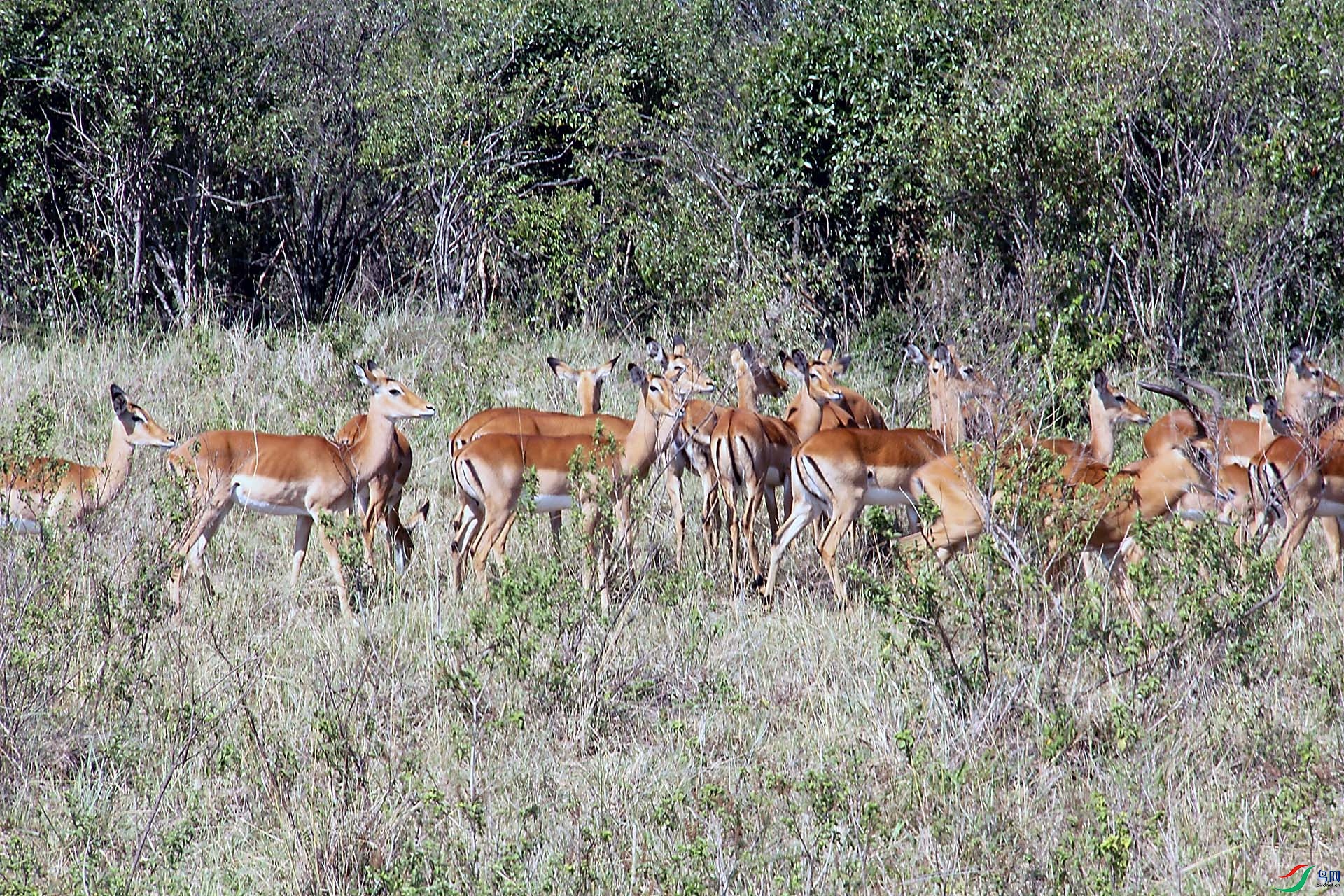 IMG_0077.jpg