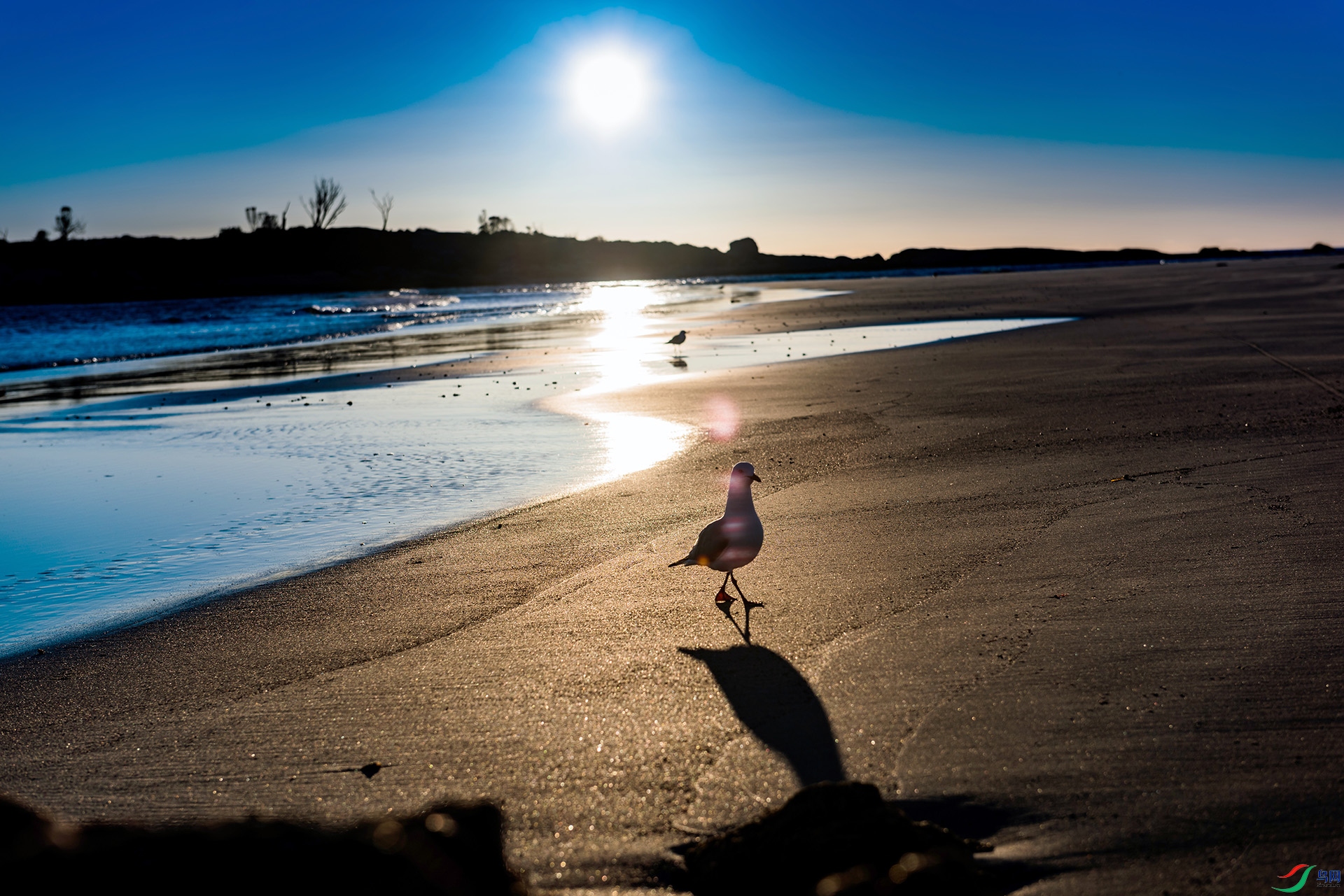 DSC_4718-1.jpg