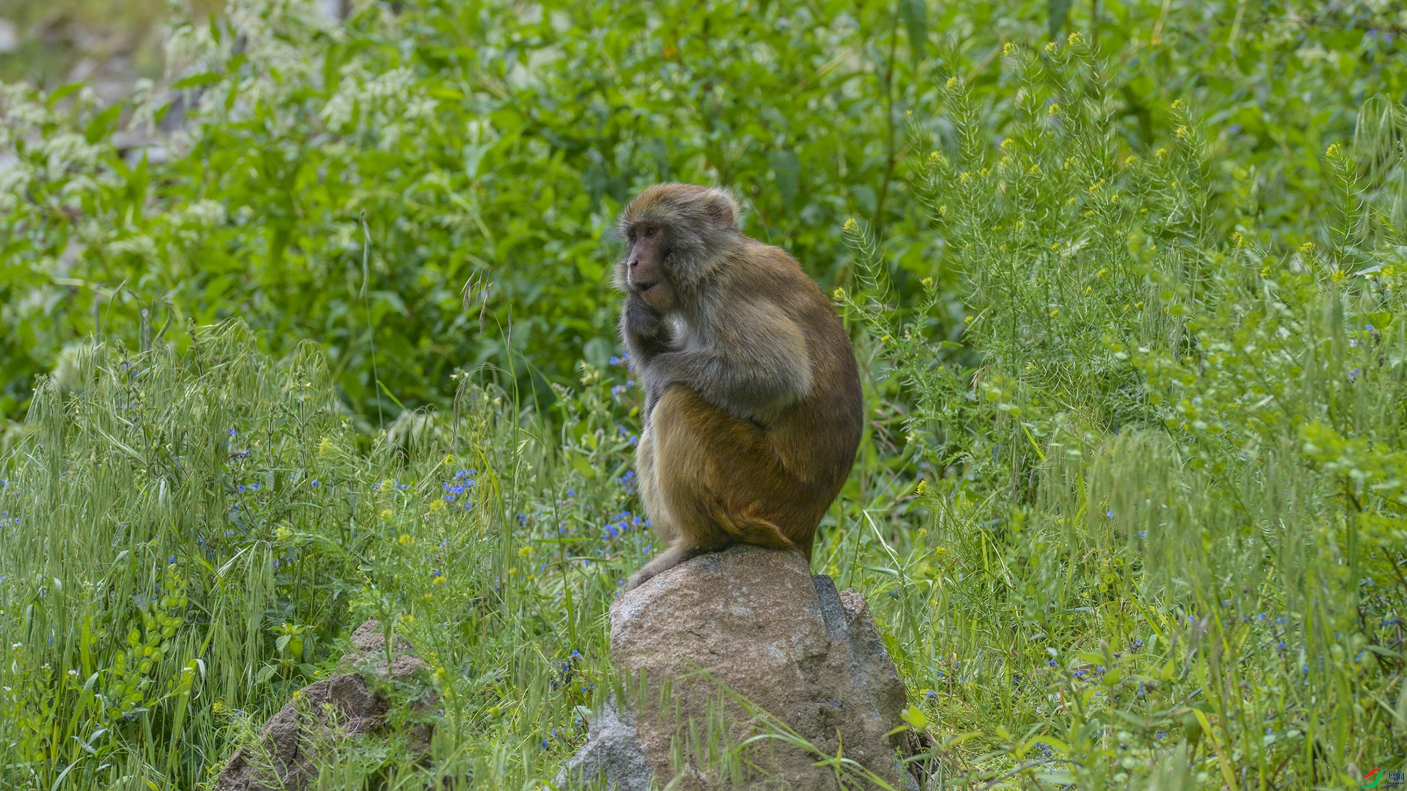 _DSC6948444444.jpg
