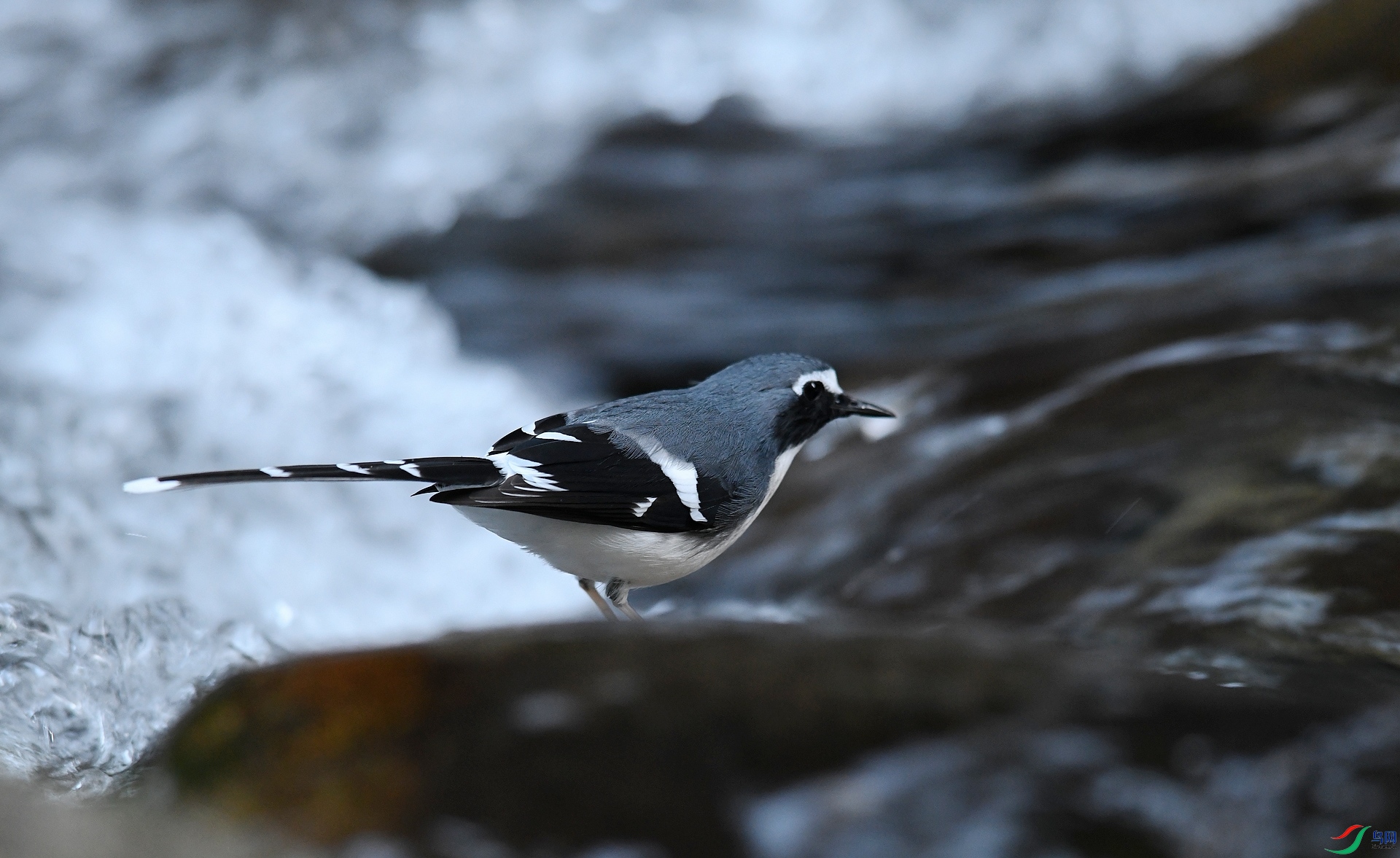 DSC_6067.jpg