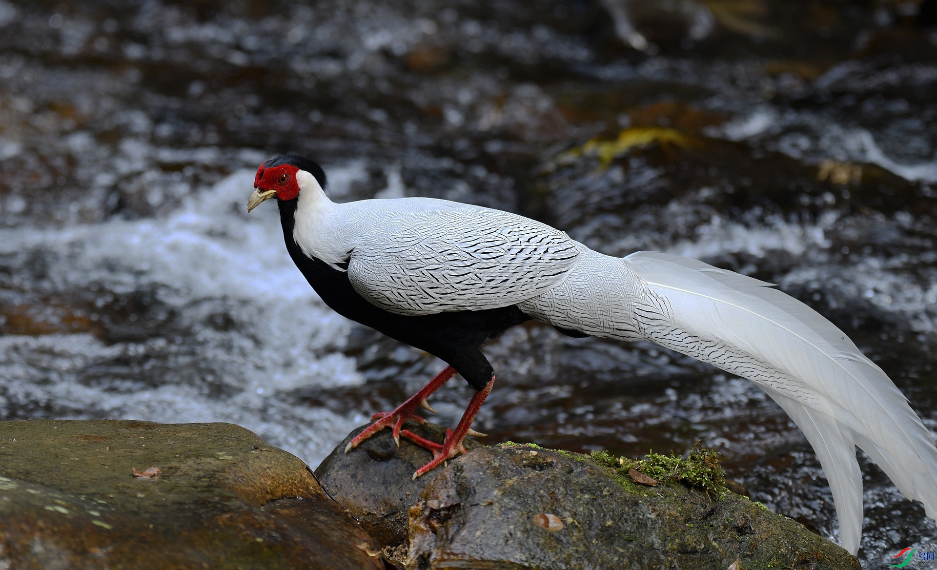 DSC_3844.jpg