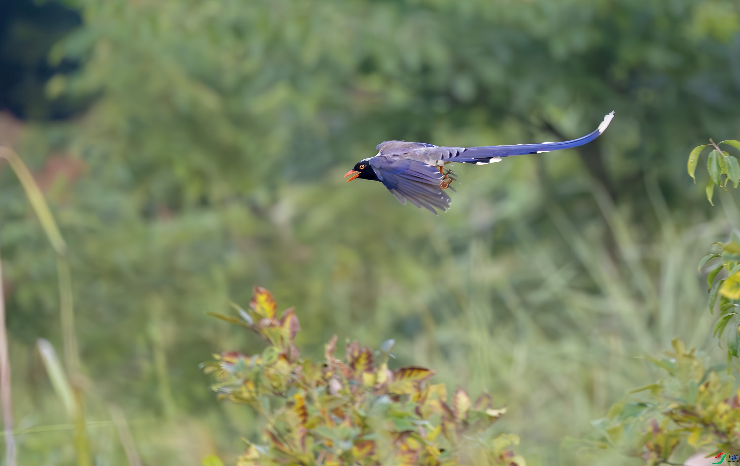 G47A0322-����ǿ-NR-2 ����.jpg