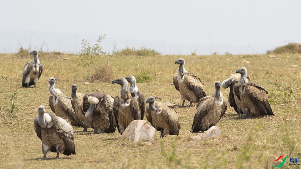 ����ͺ�� (11).jpg