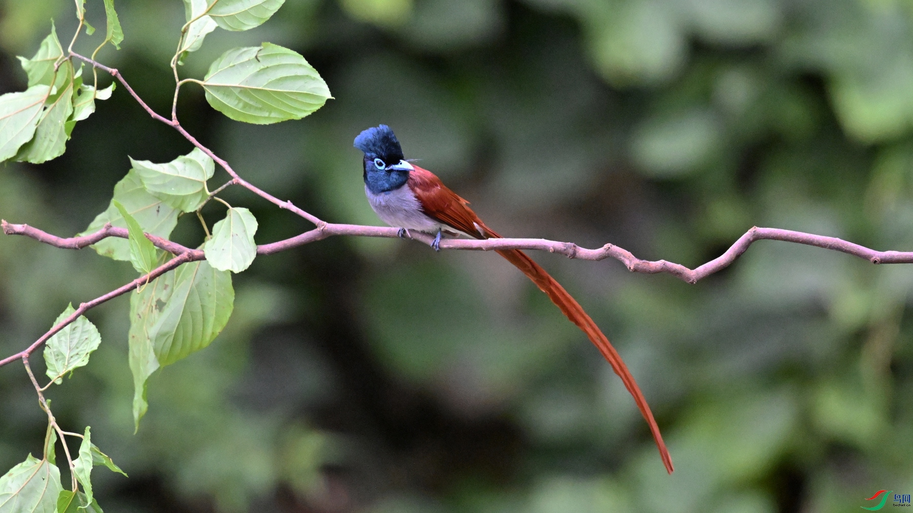 DSC_6487.JPG