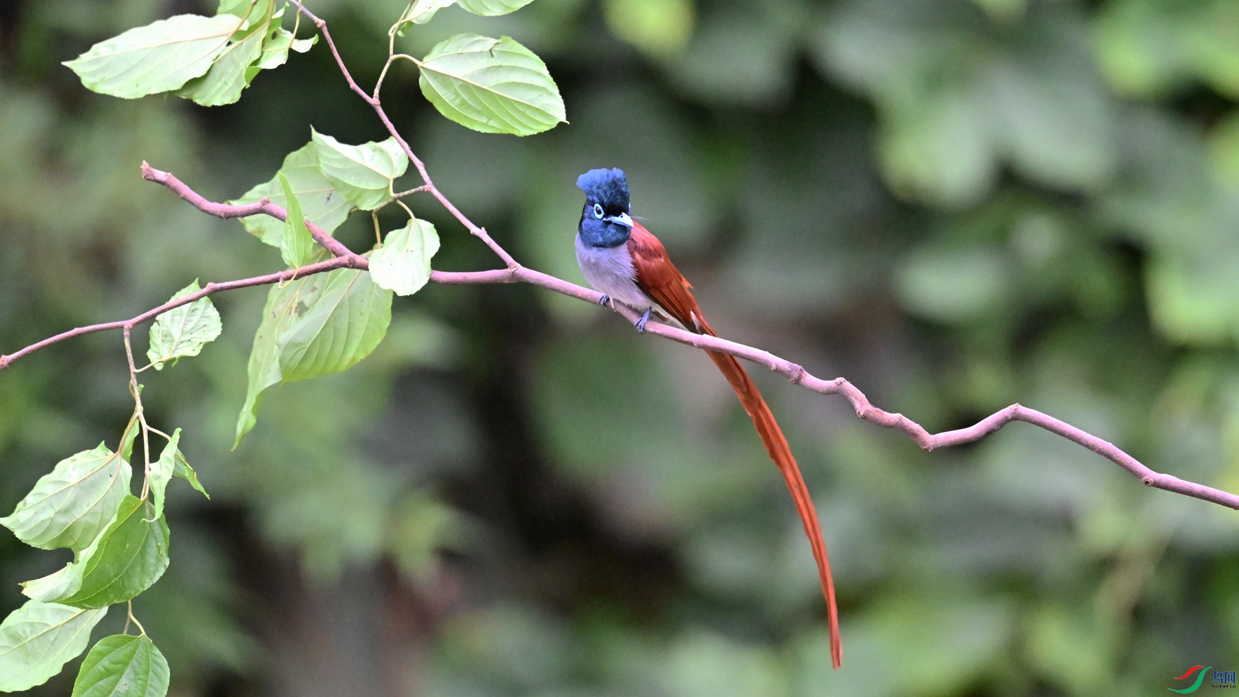 DSC_6490.JPG
