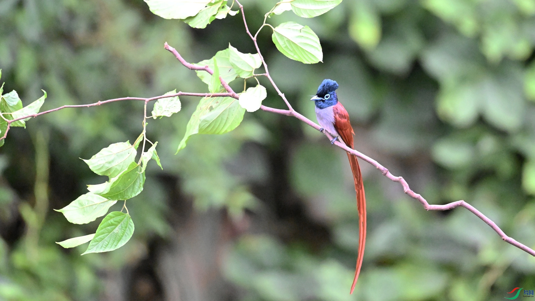 DSC_6491.JPG