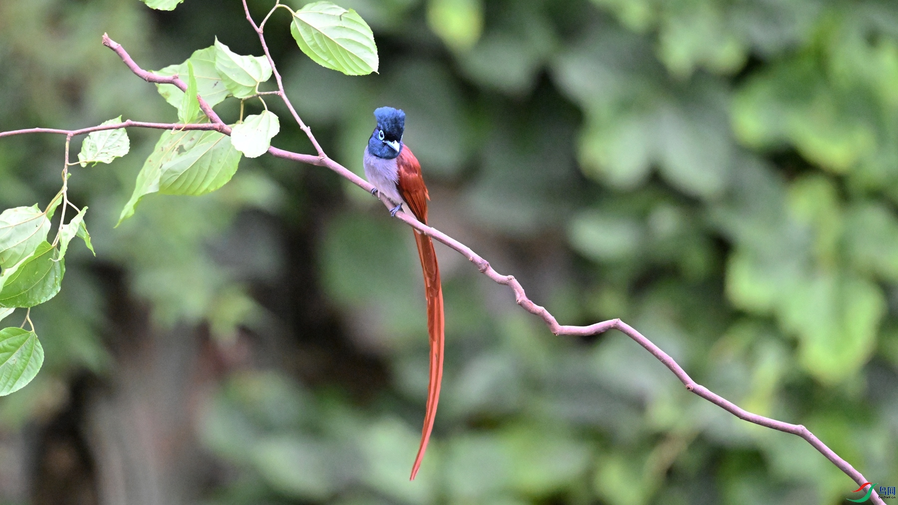 DSC_6494.JPG