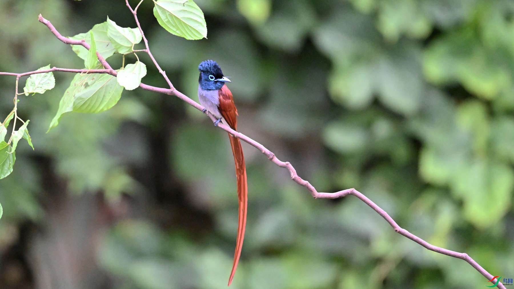 DSC_6495.JPG
