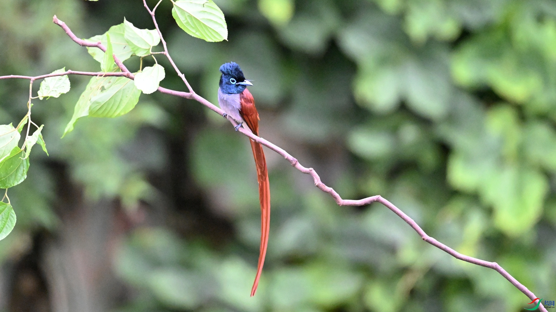 DSC_6497.JPG