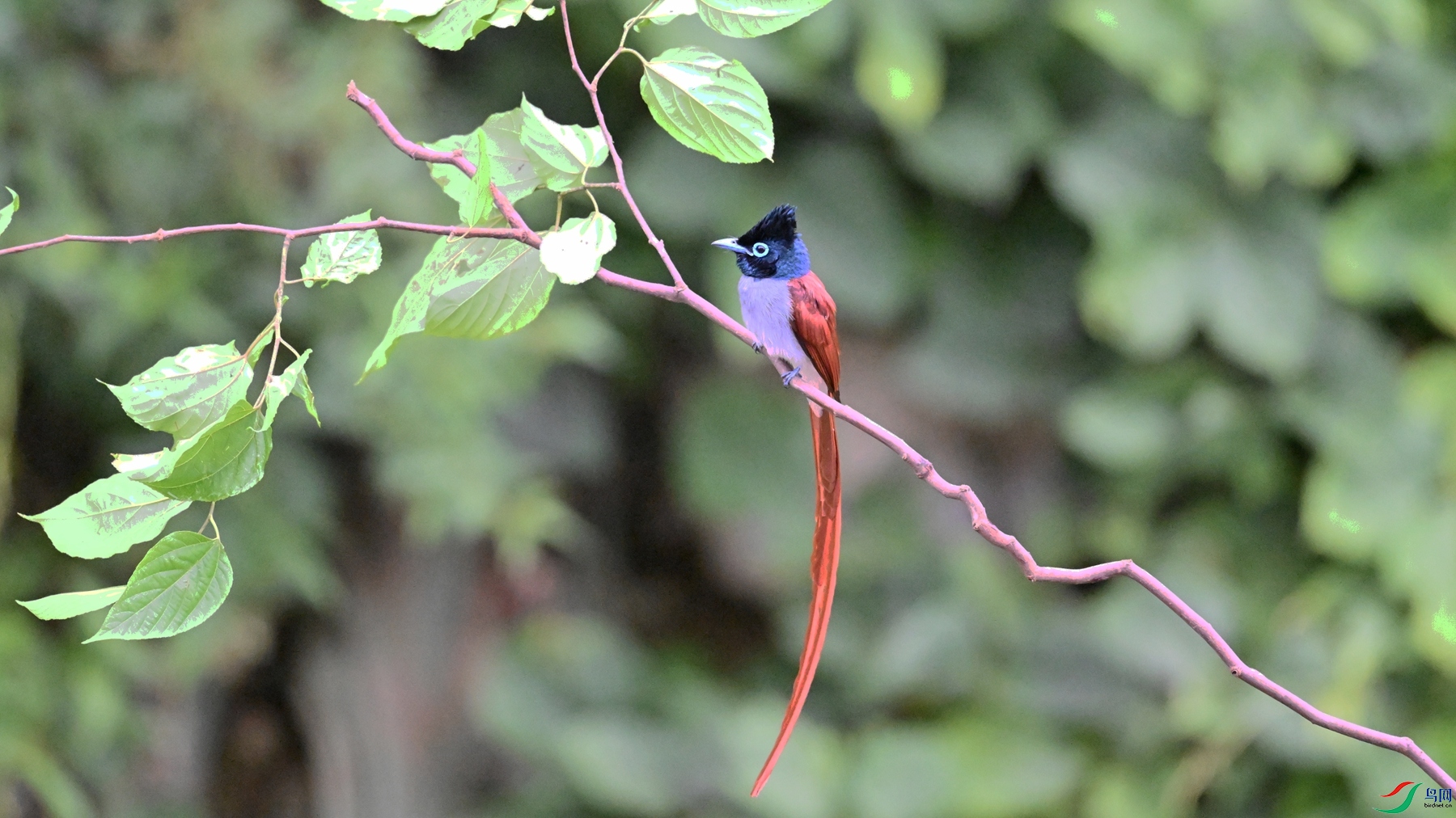 DSC_6498.JPG