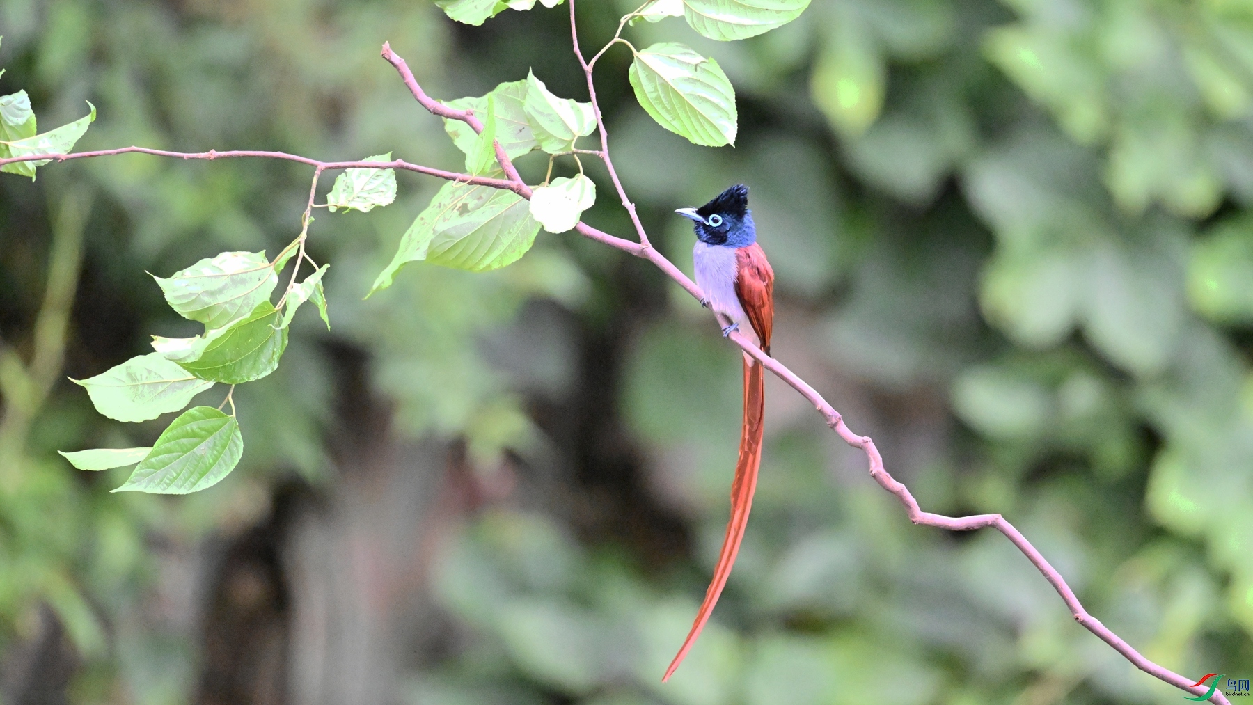 DSC_6499.JPG