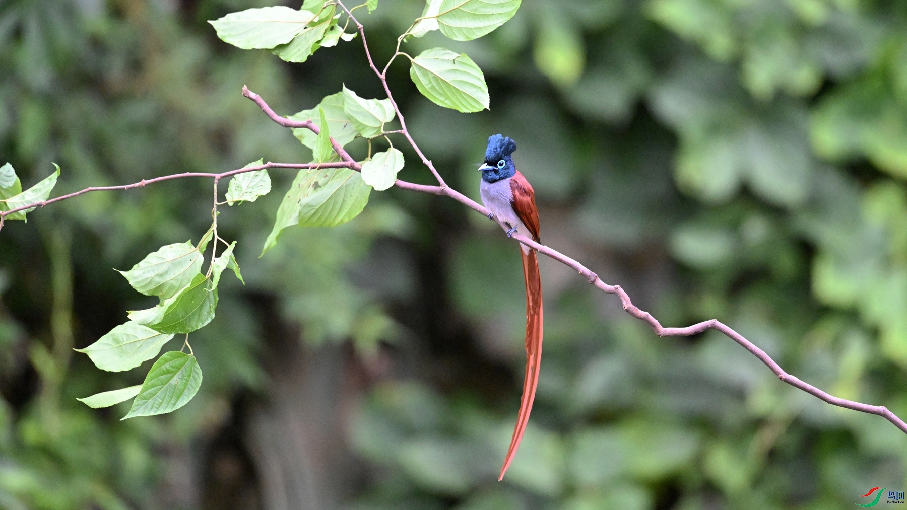 DSC_6506.JPG