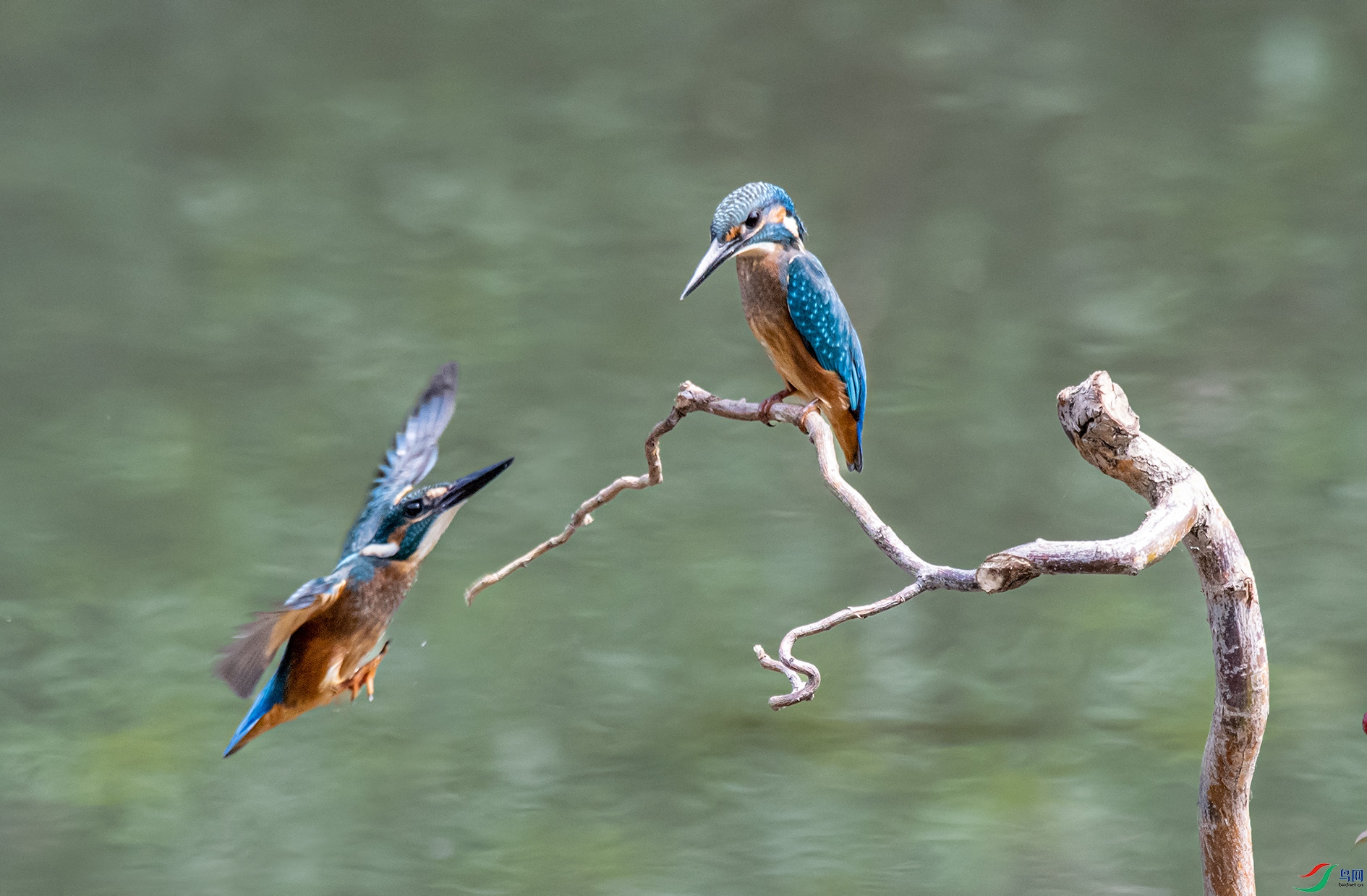 DSC_4436_��ͼ�� ����.jpg