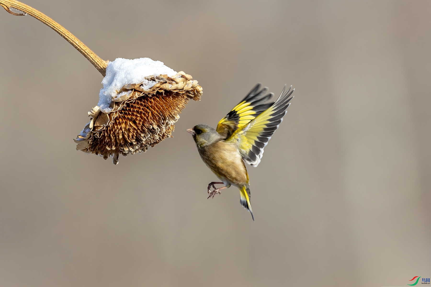 488A6655 ����.jpg