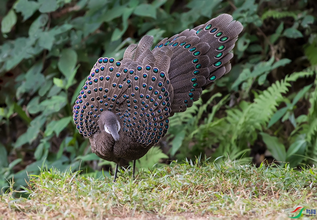 DSC_77551.jpg