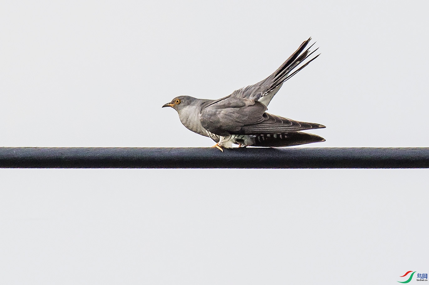 _90I1308 ���� 2.jpg