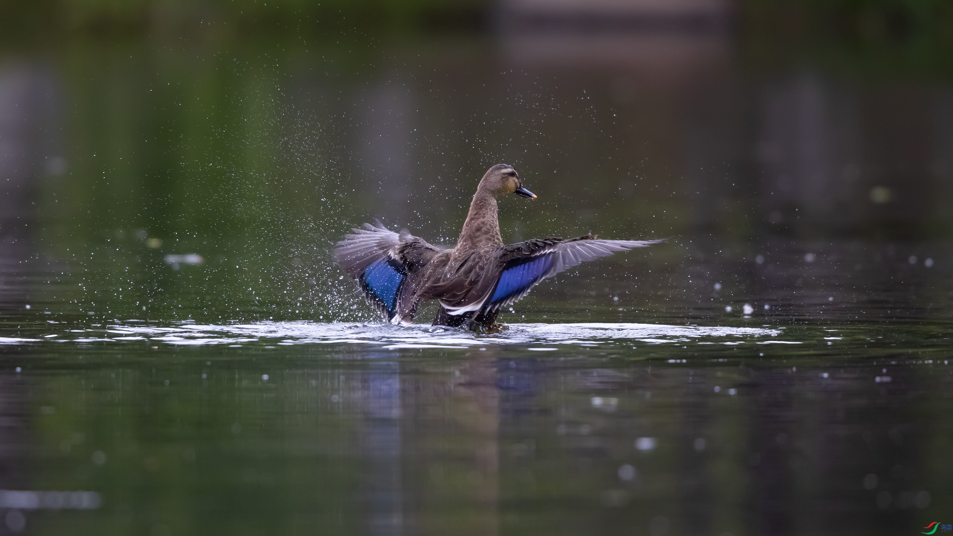 _O7A3364 ����.jpg