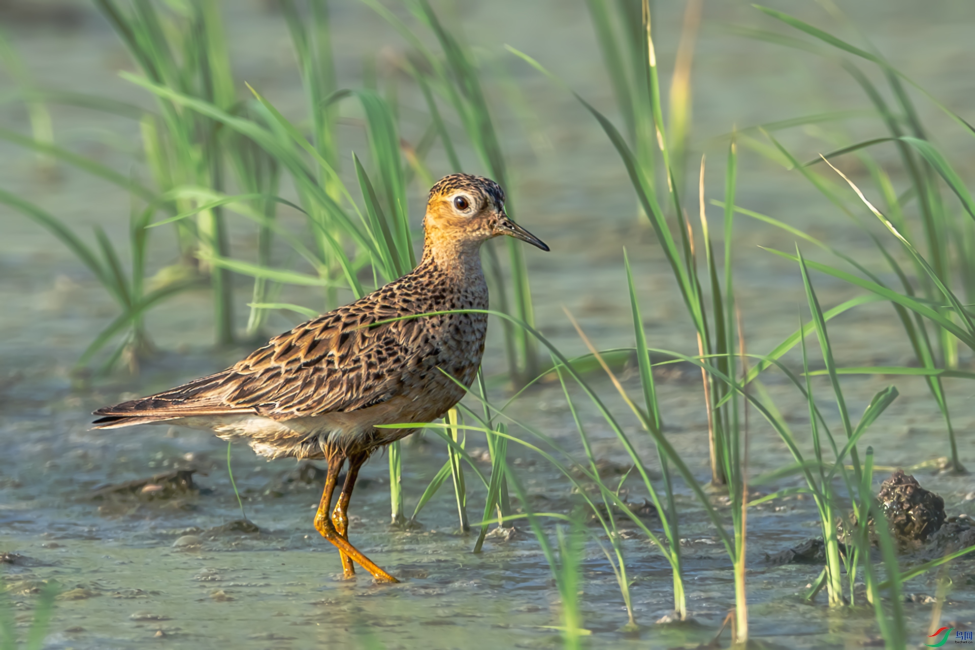 20251013���ر��� (1).jpg