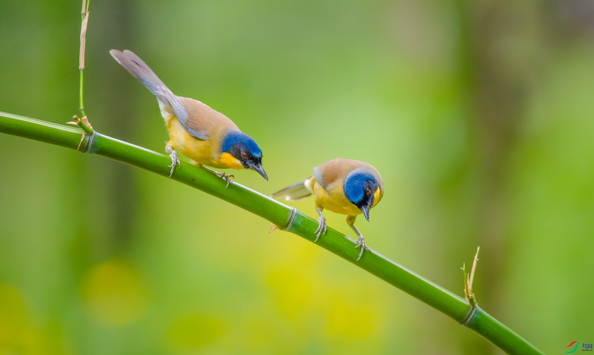 DSC_�������� - ����.jpg