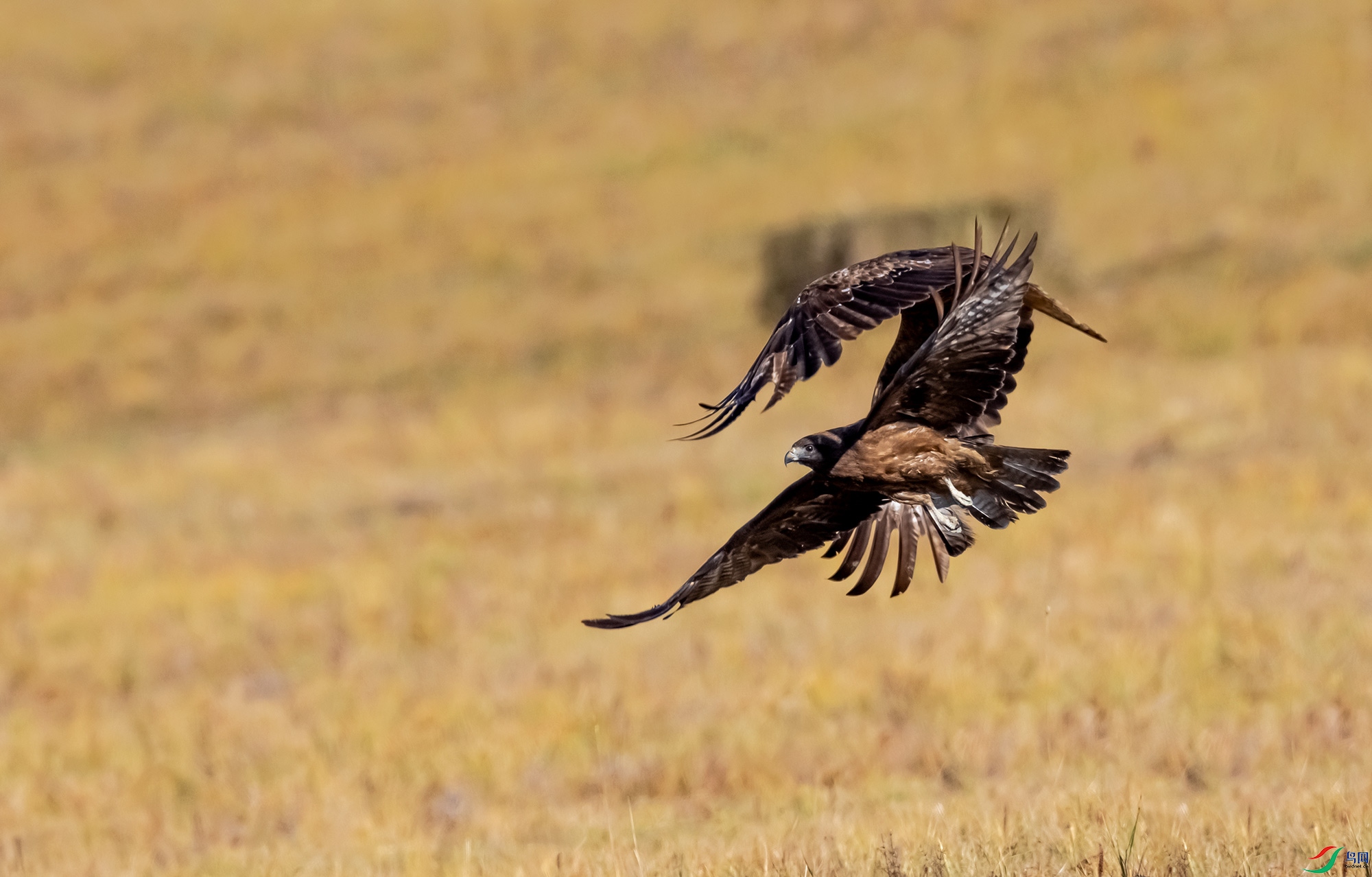178A7143-1.jpg