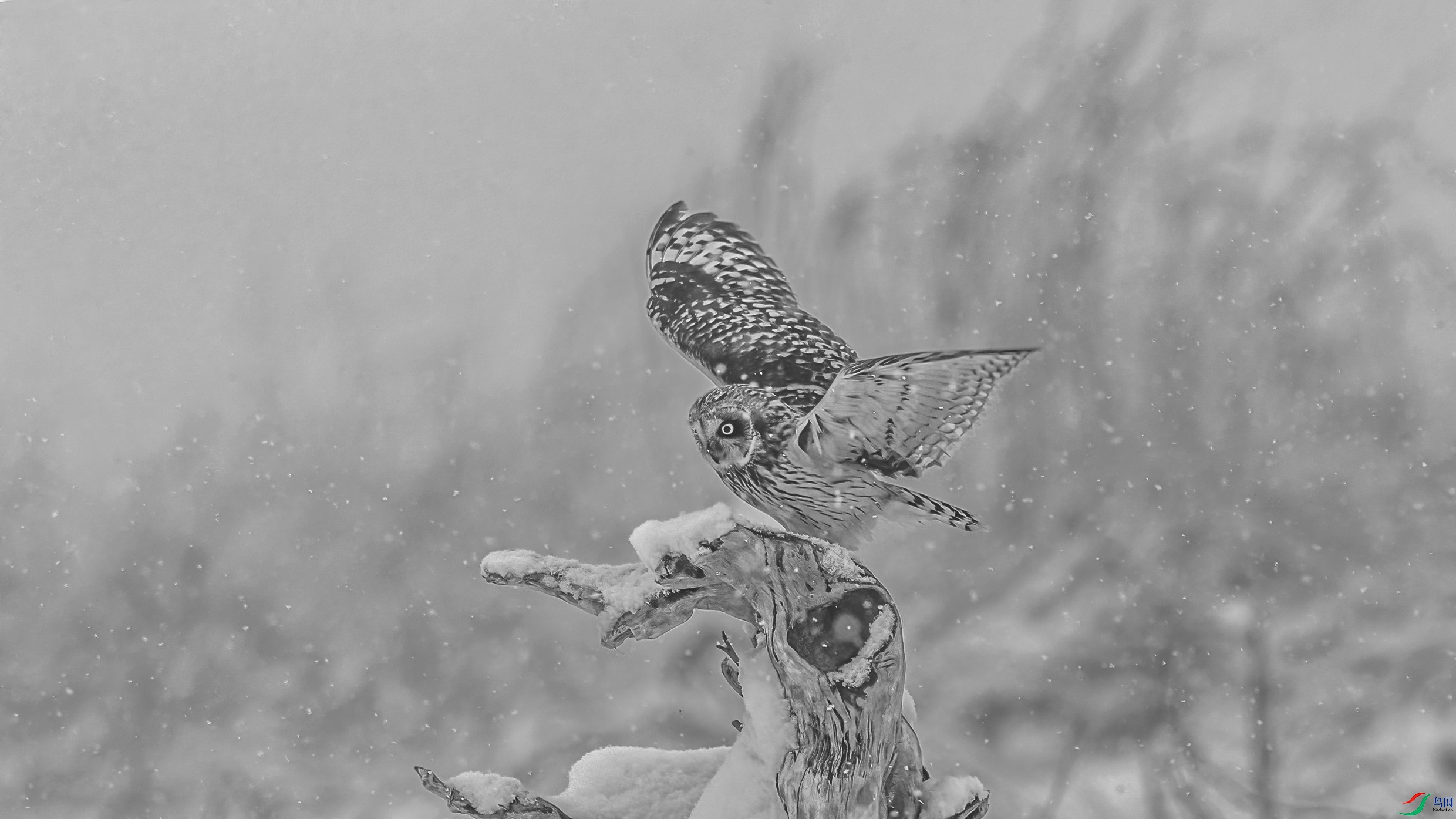 C09R9518 ����.jpg