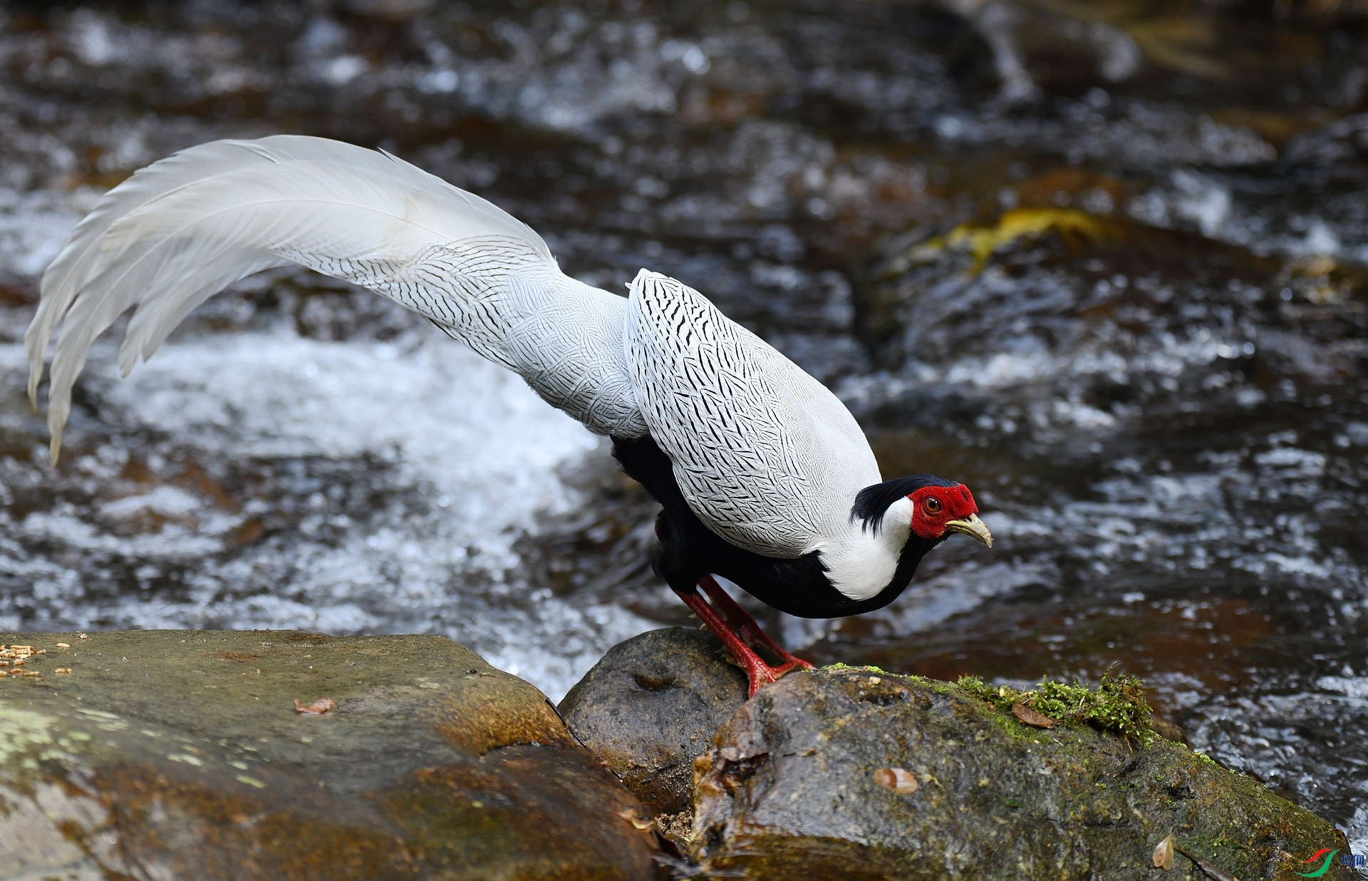 DSC_3854.jpg
