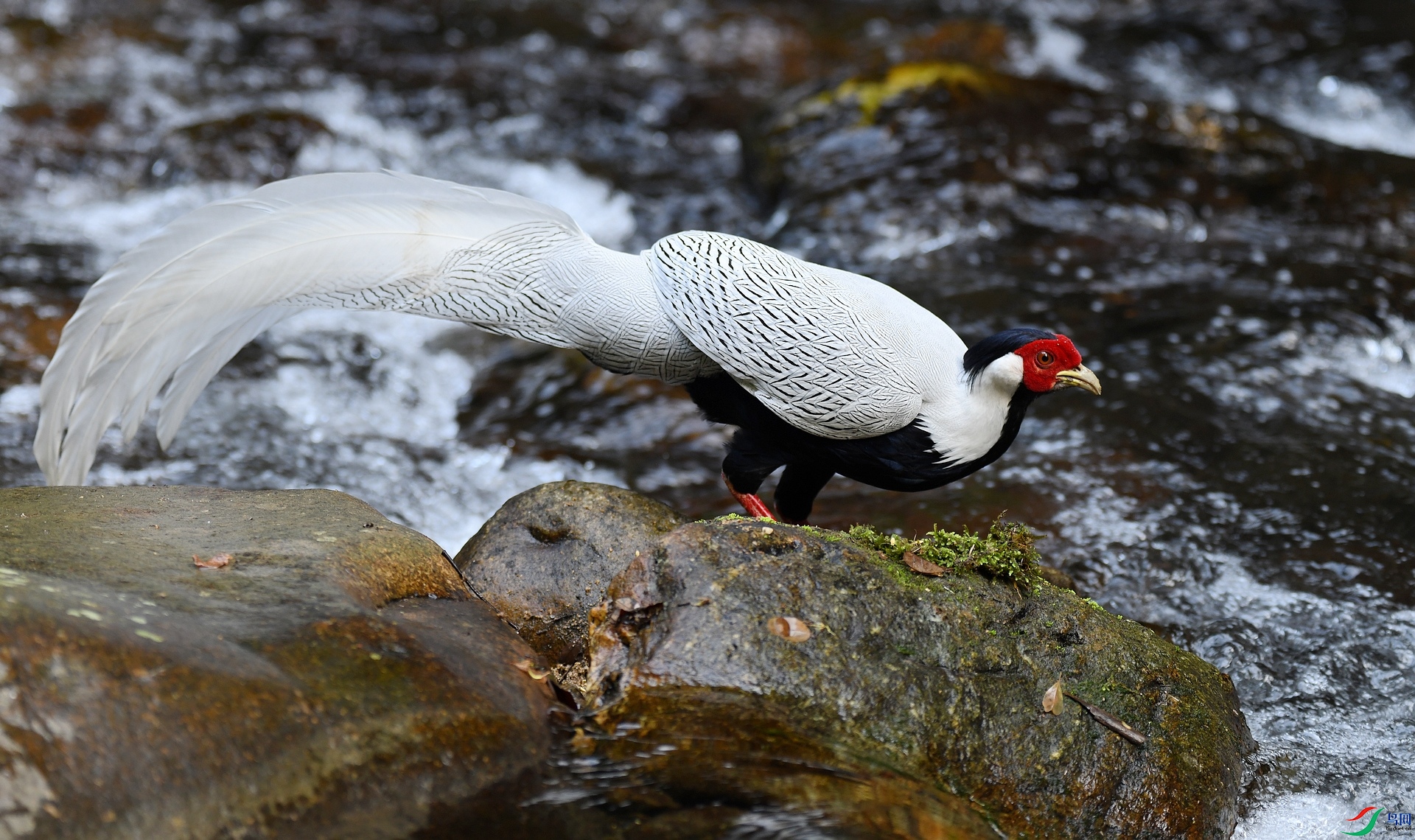DSC_3874.jpg