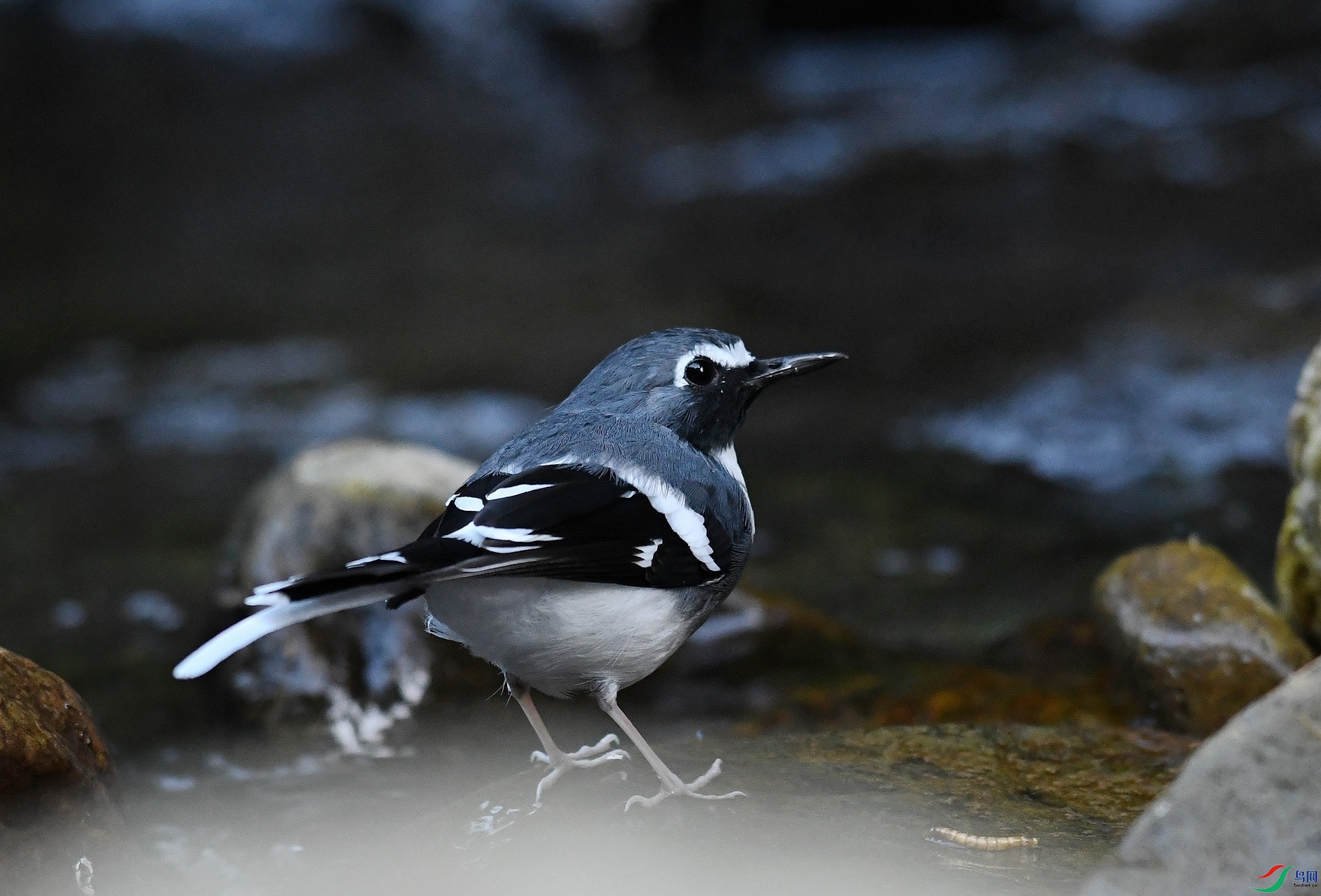 DSC_5681.jpg