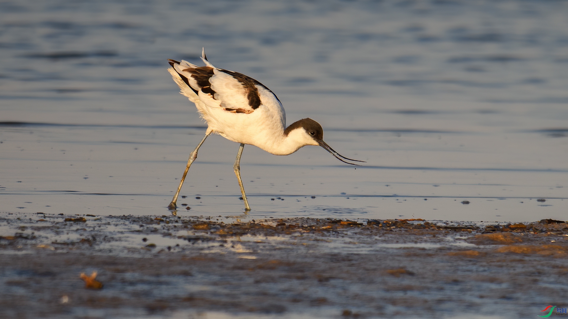 DSC_0272-20251004��.jpg