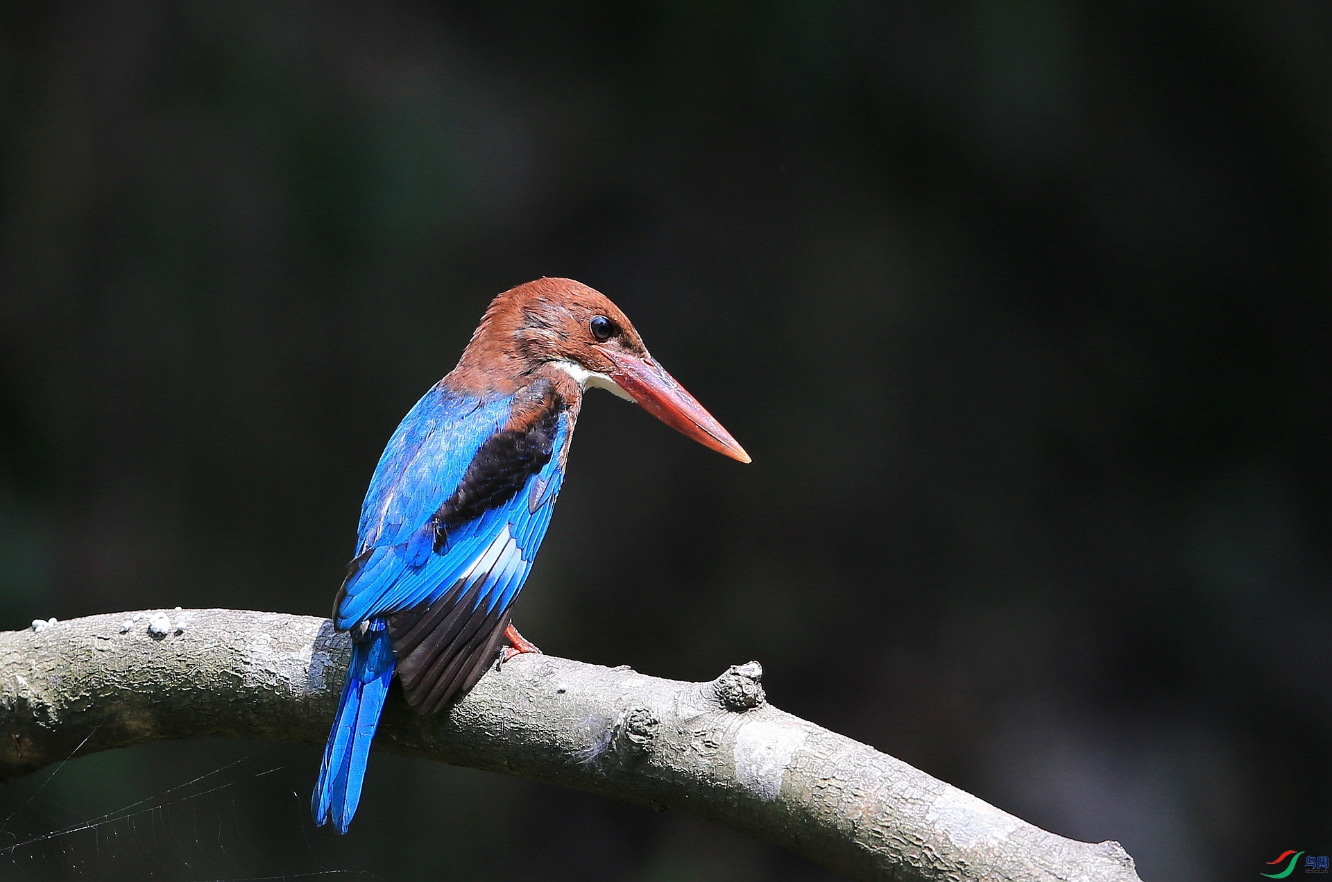 IMGL0272�� ��.JPG