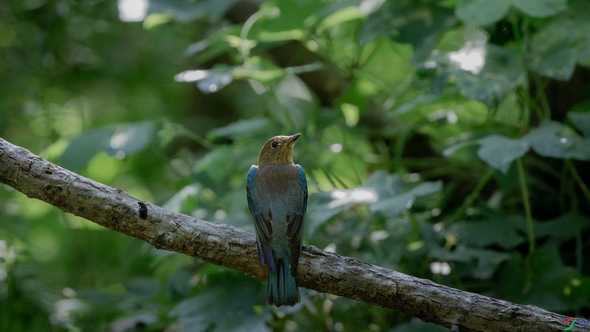 DSC_5111.jpg