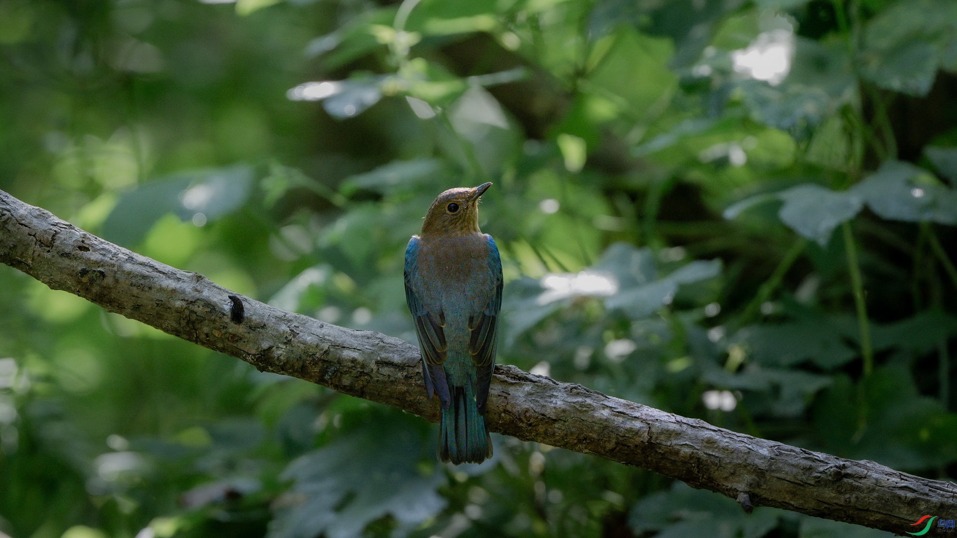 DSC_5112.jpg
