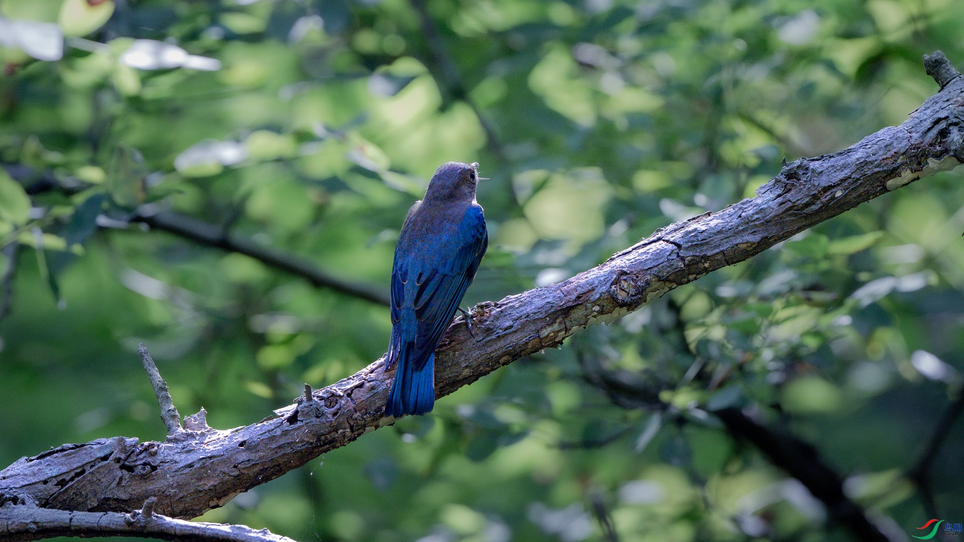 DSC_5124.jpg