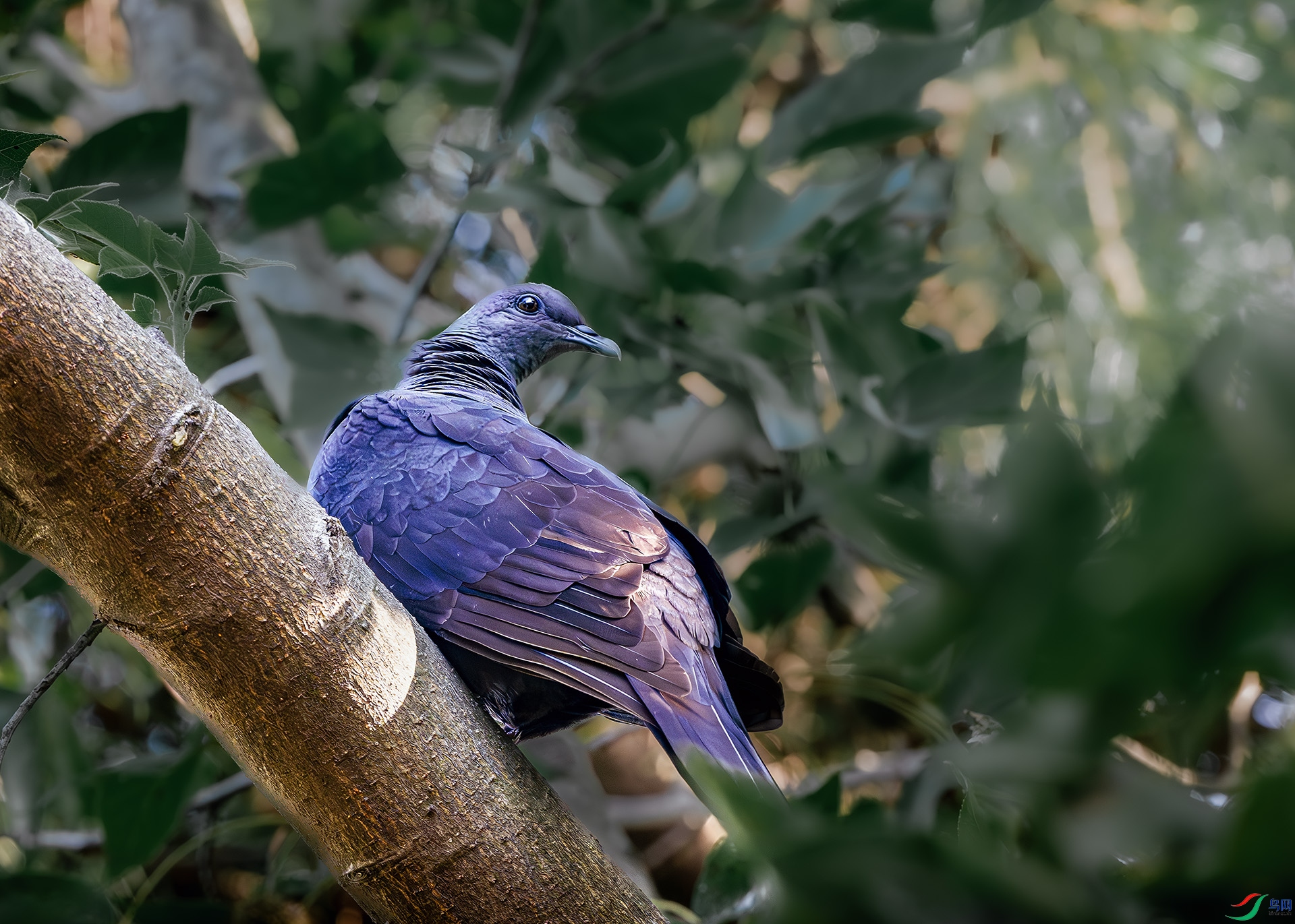 DSC_4112.jpg