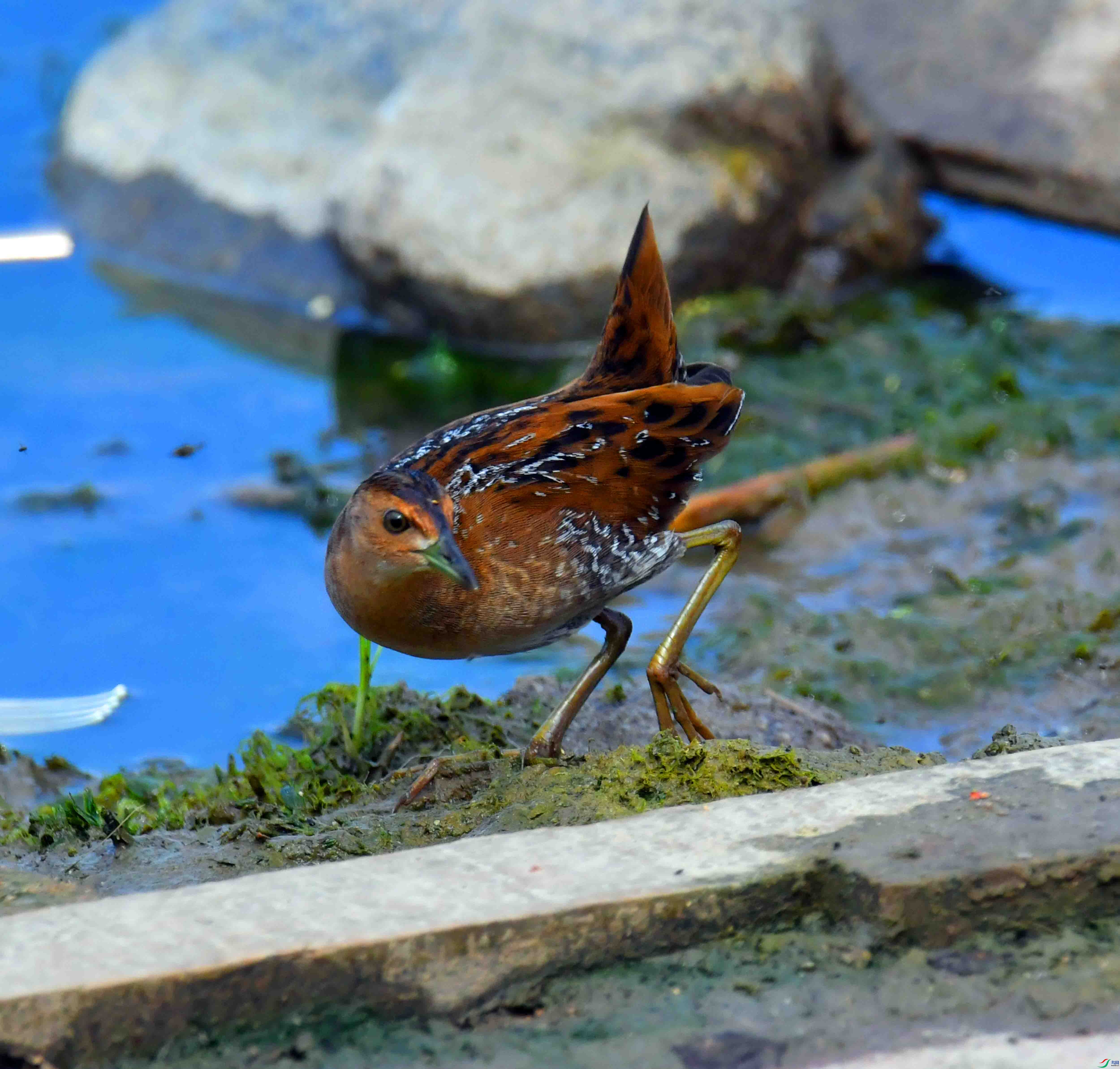 DSC_8120.JPG