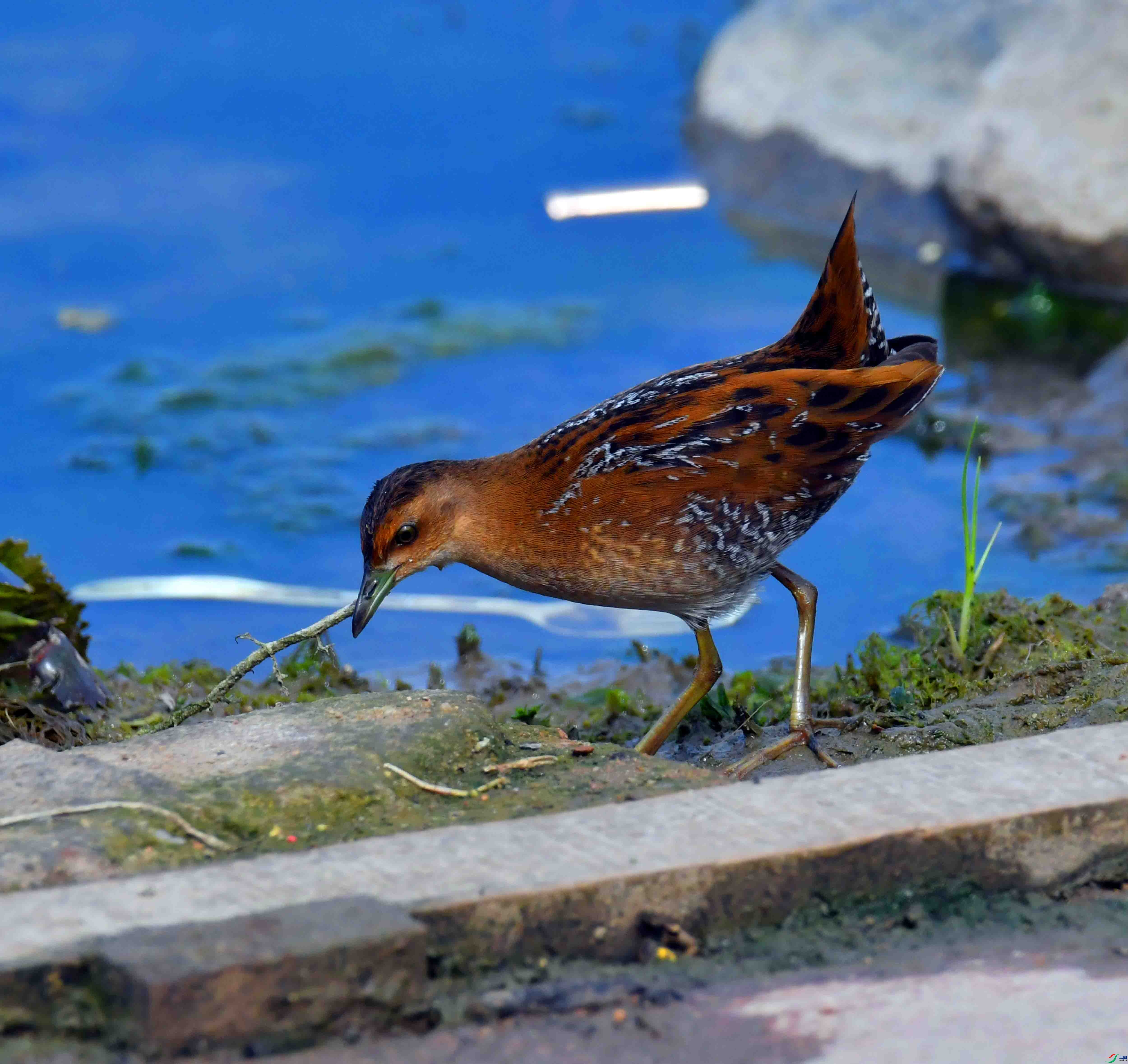DSC_8128.JPG