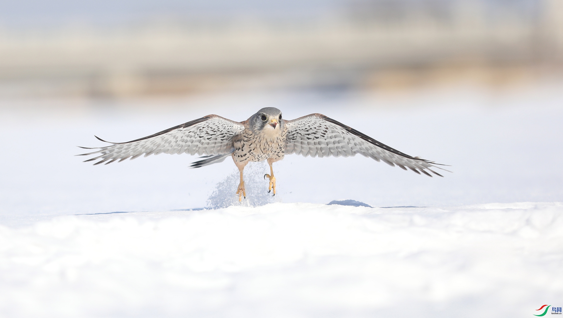 9G8A9069 ����.jpg