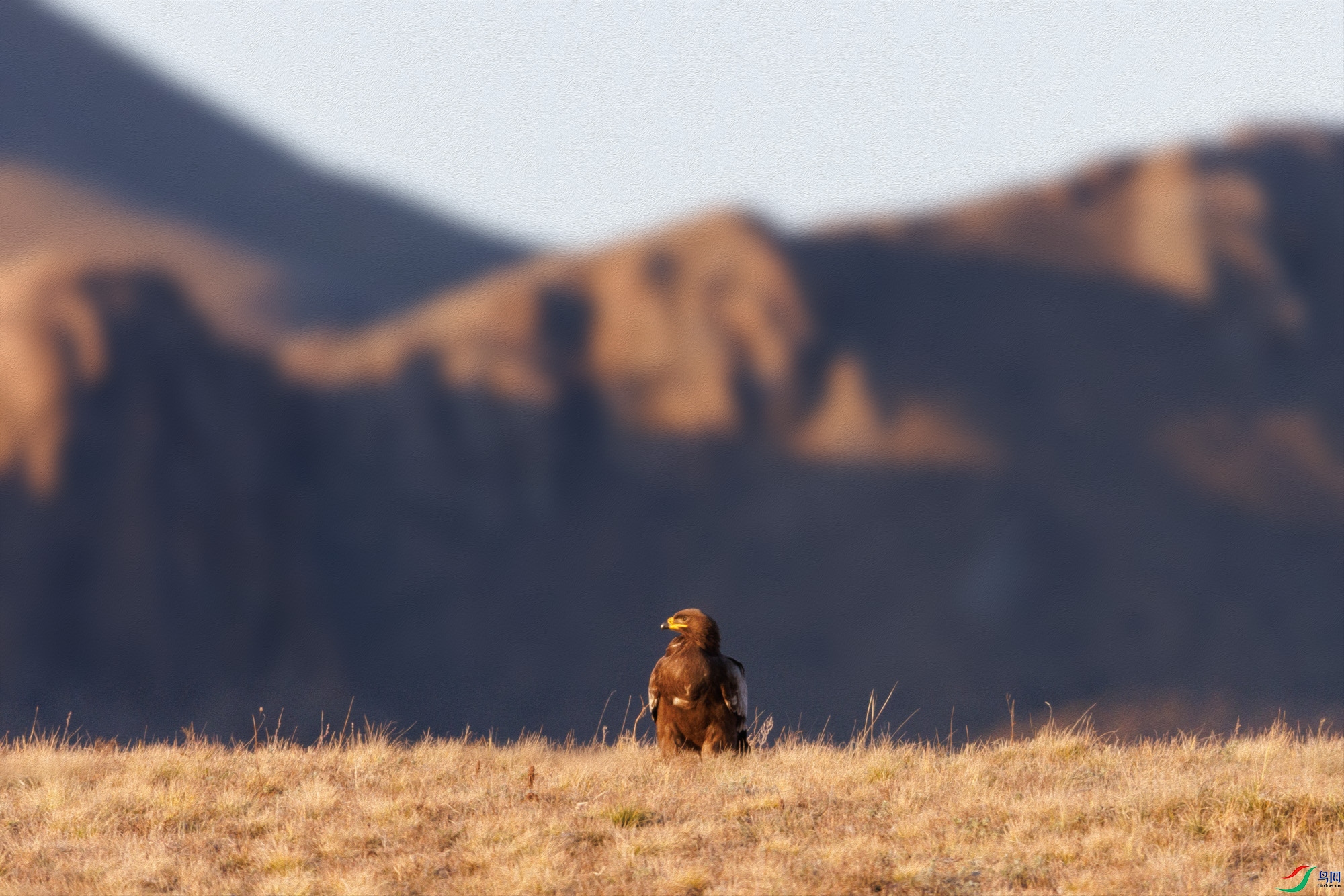 3Z6A1472 ����.jpg