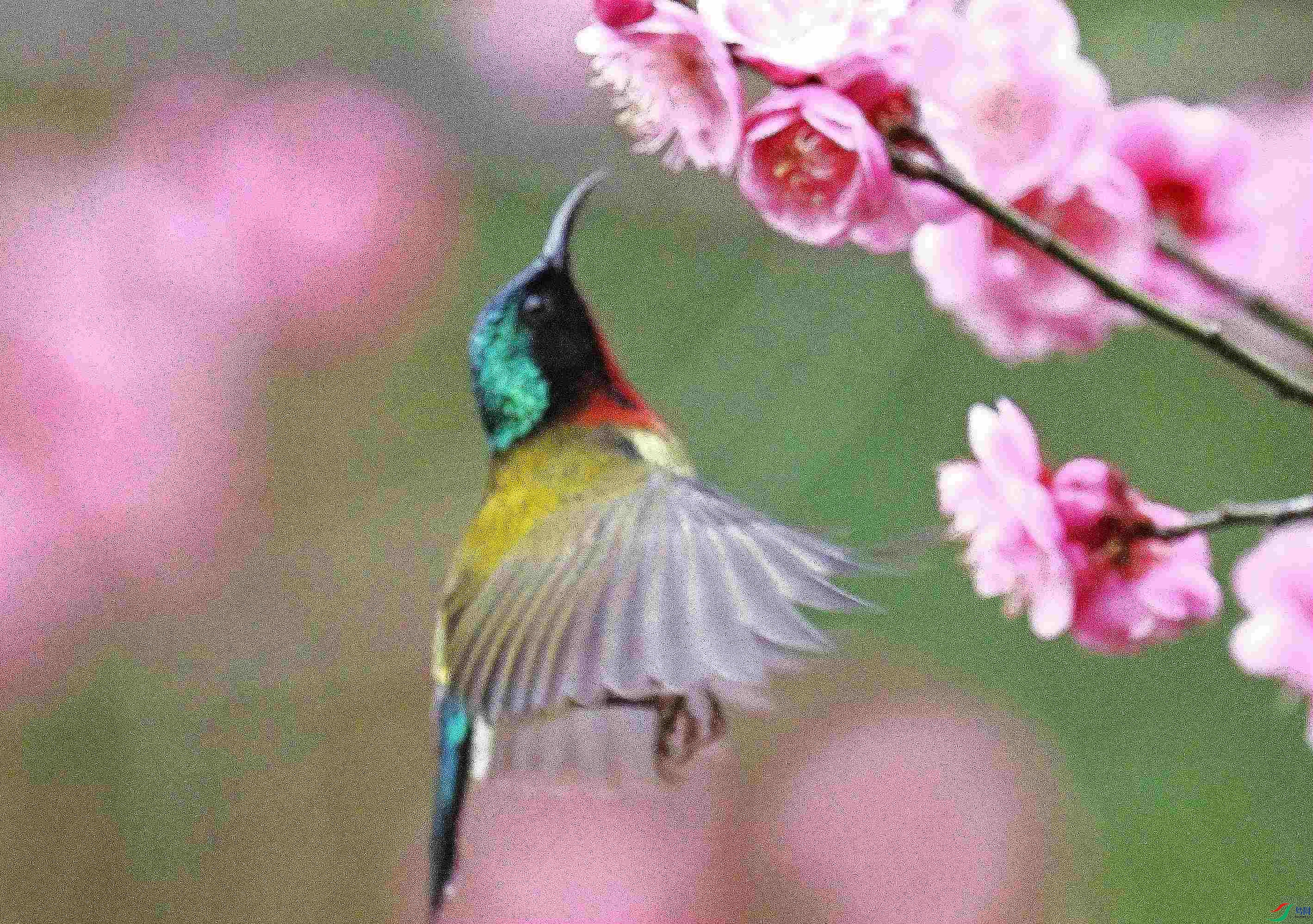 DSC_9999.jpg
