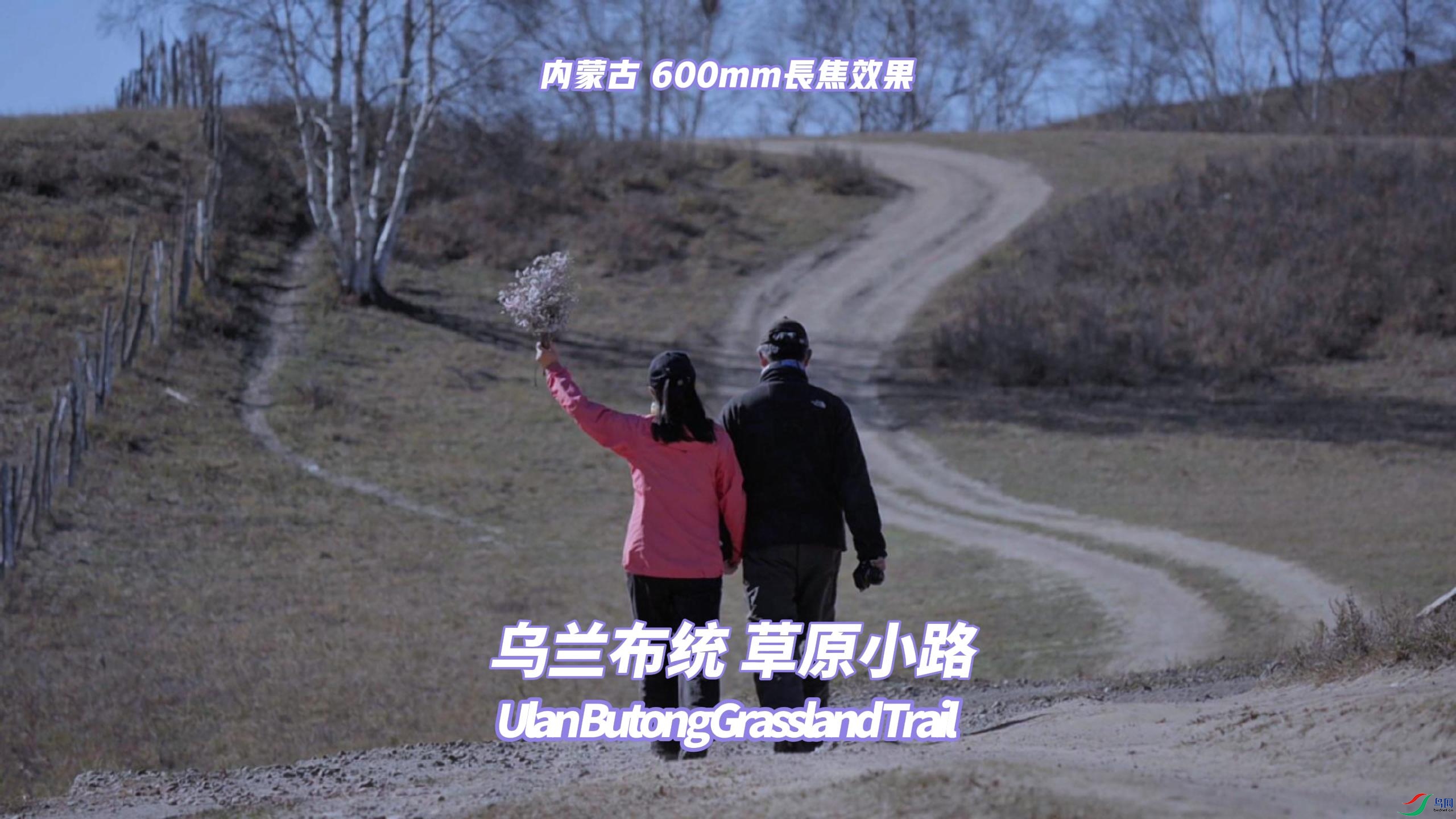 ���ɹ� ������ͳ ��ԭС· 600mm����Ч��-����.jpg