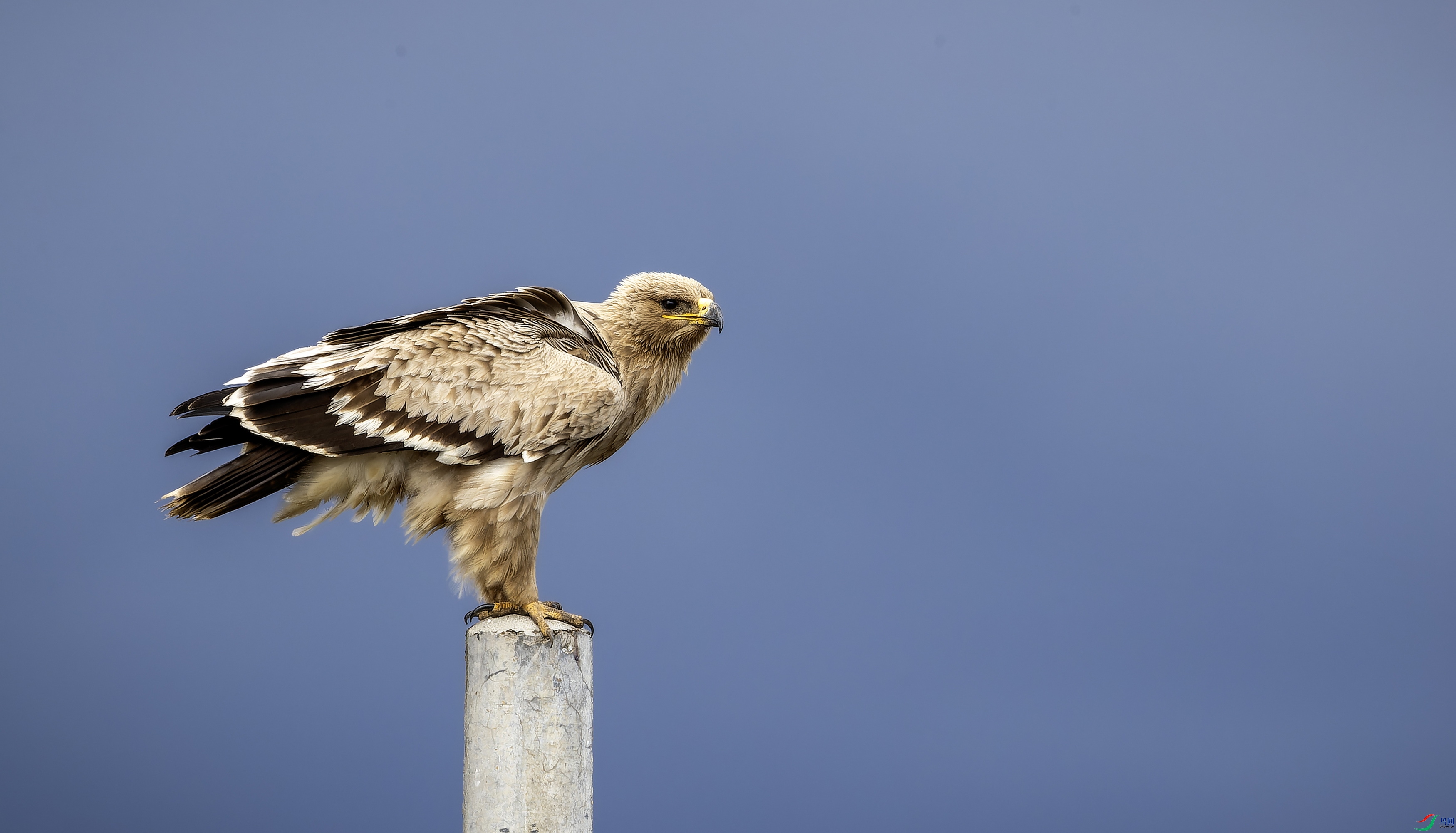 ��ԭ�� (32)-01.jpg