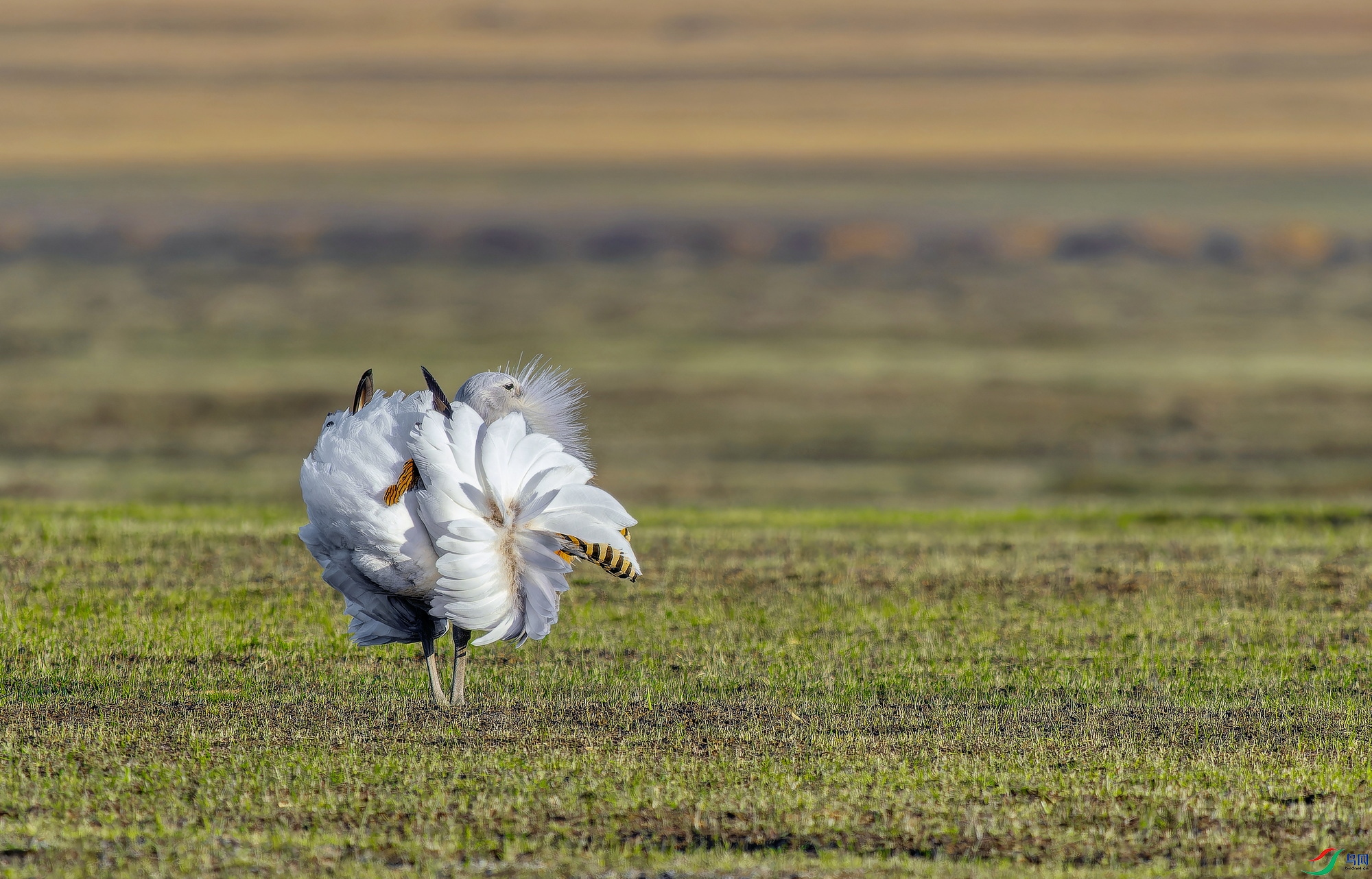 ��� (5)-01.jpg