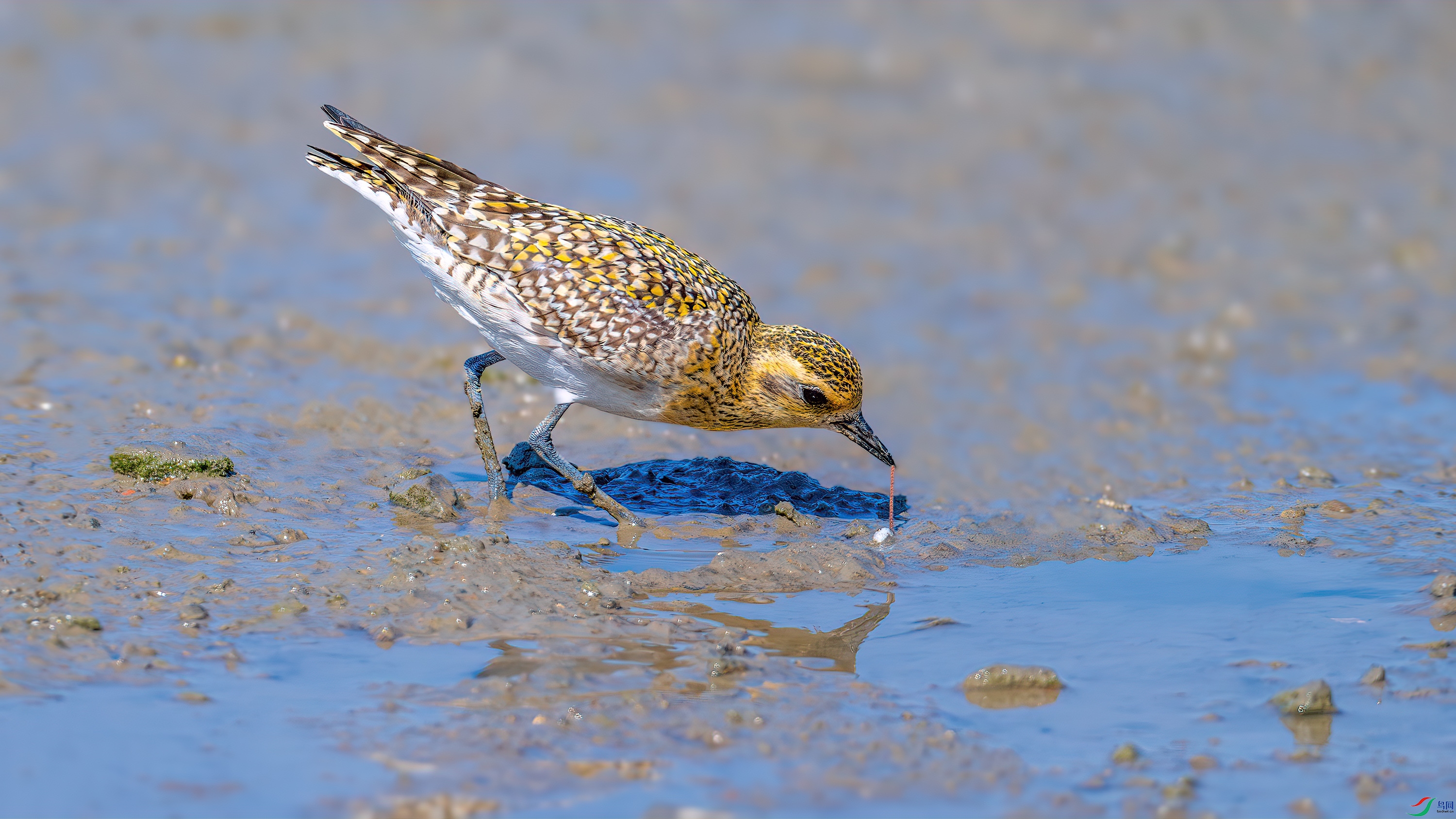 DSC_5969-����ǿ-NR.jpg