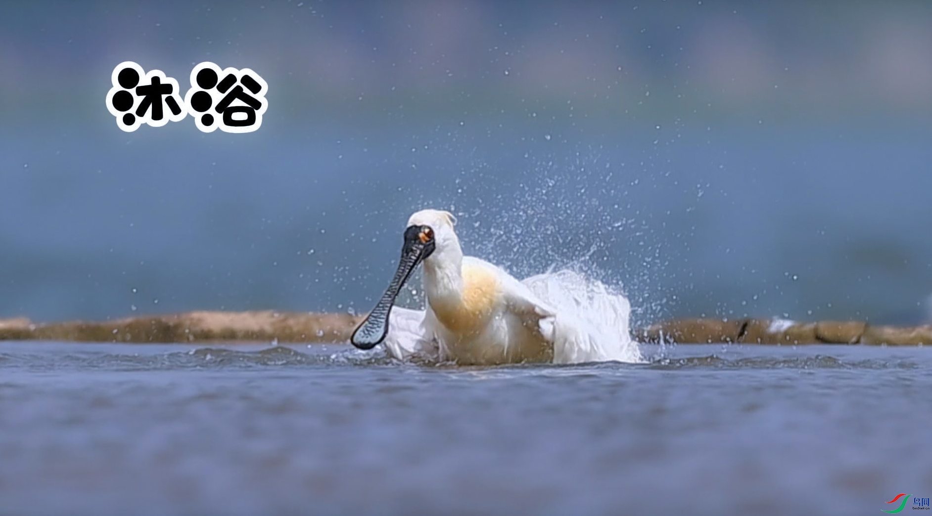 5��22��(1)-���� ����.jpg